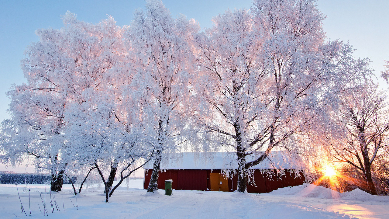 Braunes Holzhaus in Der Nähe Von Bäumen, Die Tagsüber Mit Schnee Bedeckt Sind. Wallpaper in 1280x720 Resolution