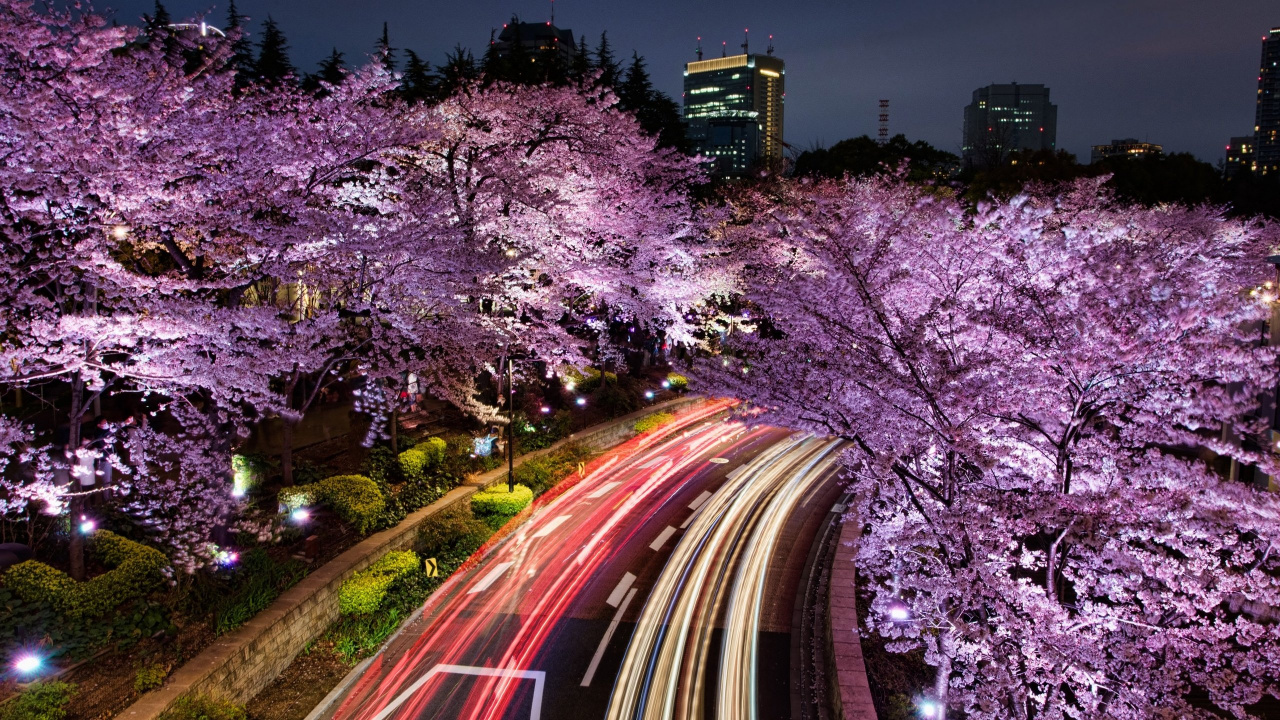 Photographie en Accéléré de Voitures Sur la Route Pendant la Nuit. Wallpaper in 1280x720 Resolution