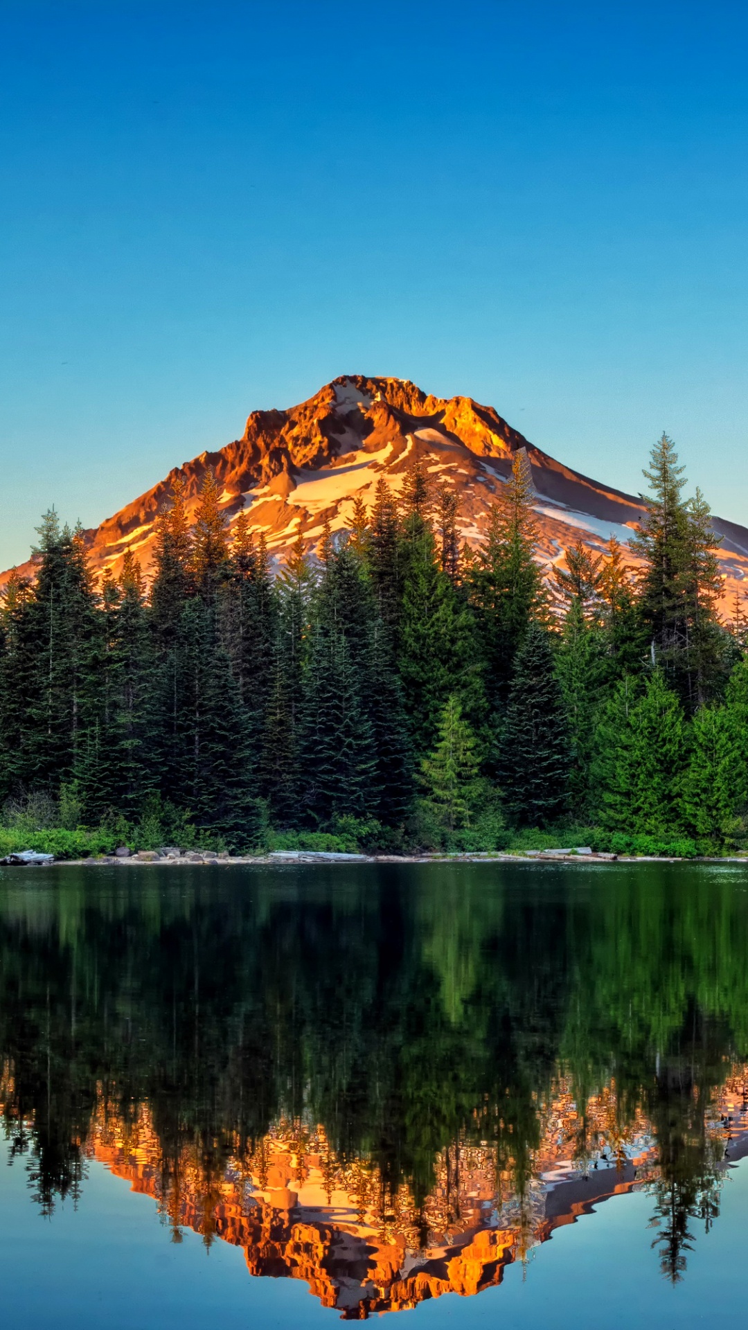 Green Pine Trees Near Lake and Mountain Under Blue Sky During Daytime. Wallpaper in 1080x1920 Resolution