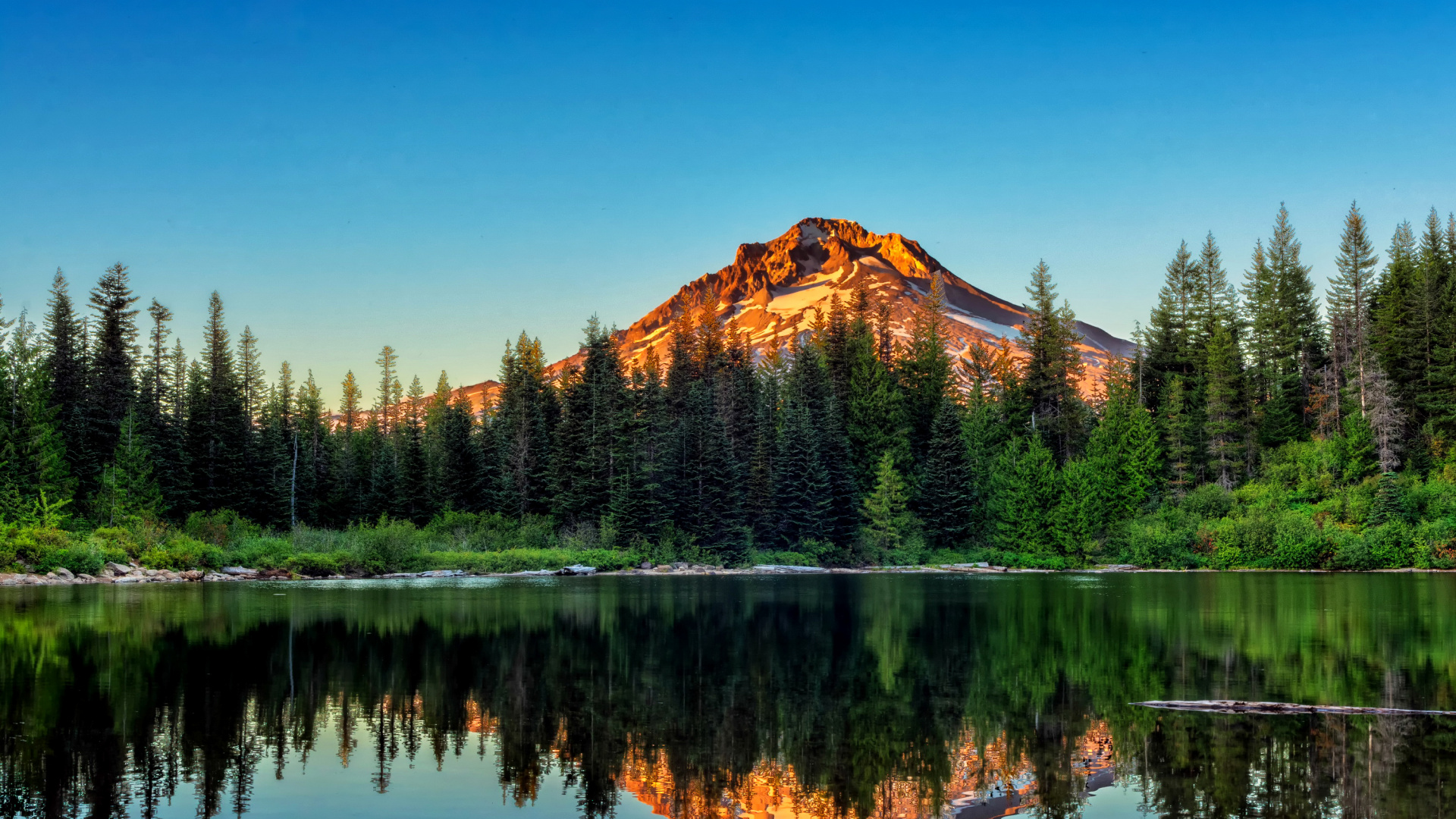 Green Pine Trees Near Lake and Mountain Under Blue Sky During Daytime. Wallpaper in 1920x1080 Resolution