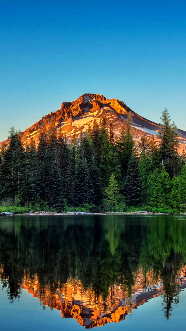 Green Pine Trees Near Lake and Mountain Under Blue Sky During Daytime. Wallpaper in 750x1334 Resolution