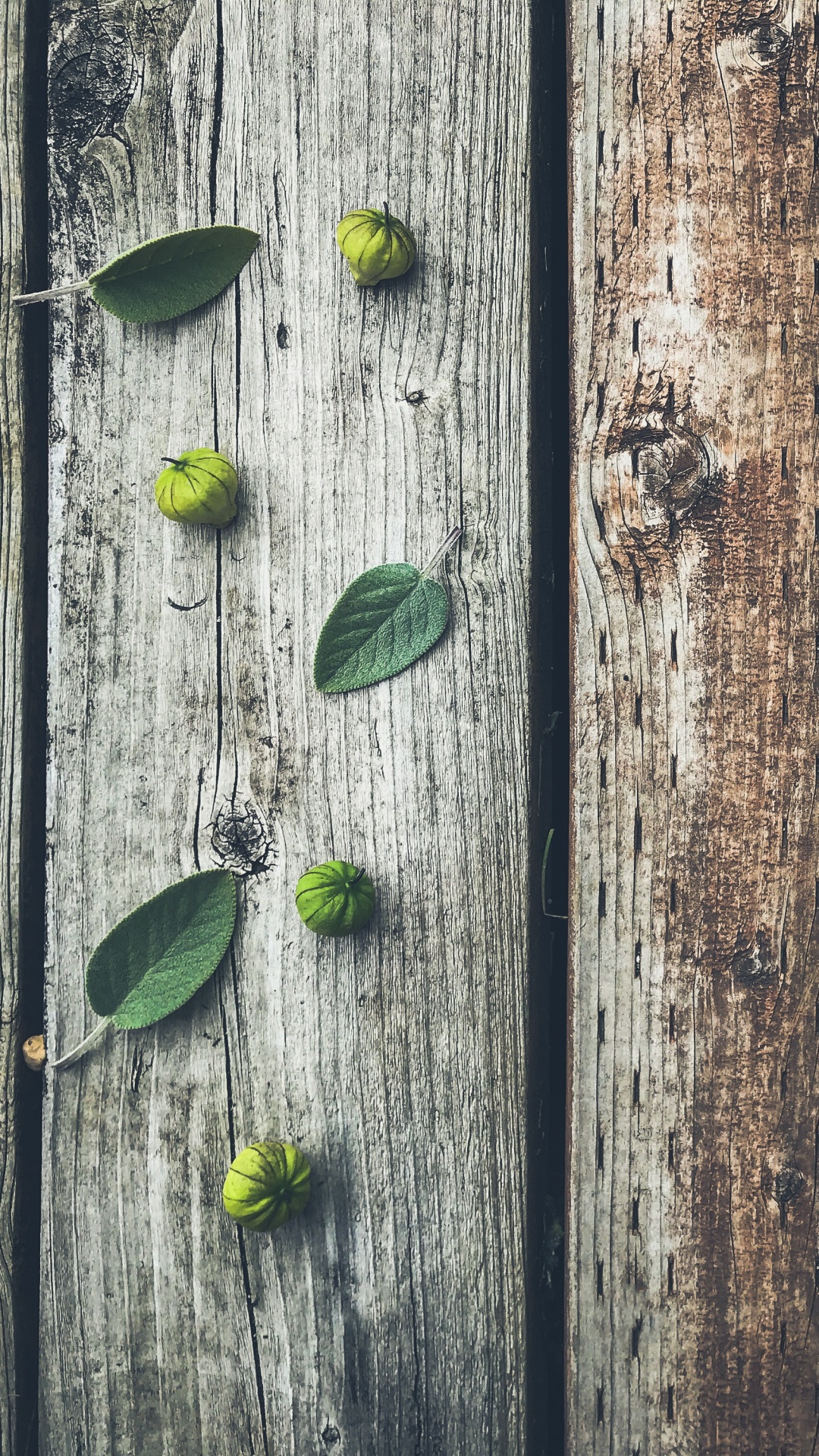 Green Leaves on Brown Wooden Plank. Wallpaper in 1080x1920 Resolution