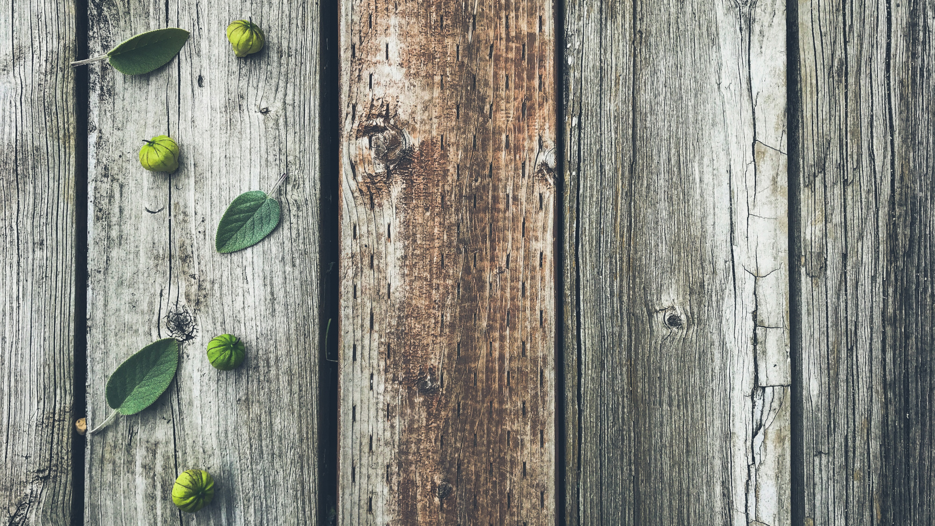 Green Leaves on Brown Wooden Plank. Wallpaper in 1920x1080 Resolution