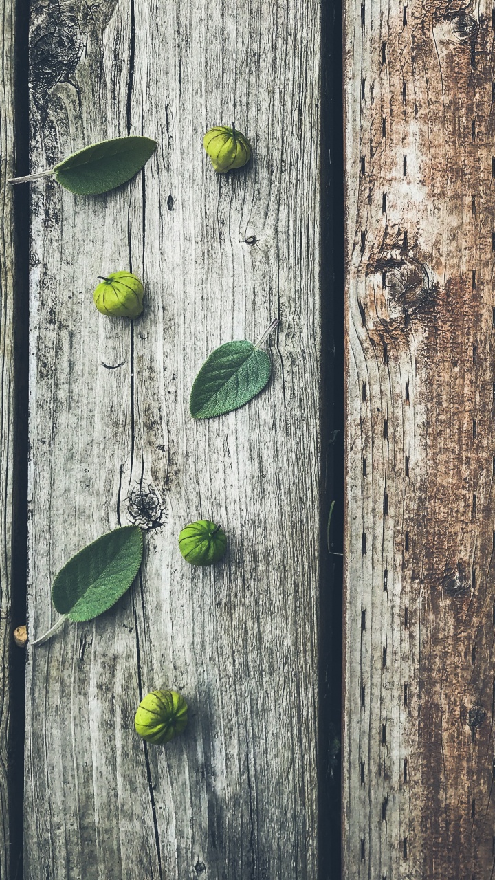 Green Leaves on Brown Wooden Plank. Wallpaper in 720x1280 Resolution