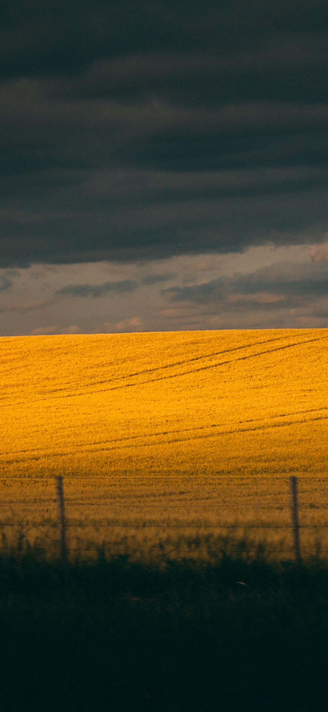 L'écorégion, Ciel, Champ, Jaune, Zone Rurale. Wallpaper in 1125x2436 Resolution