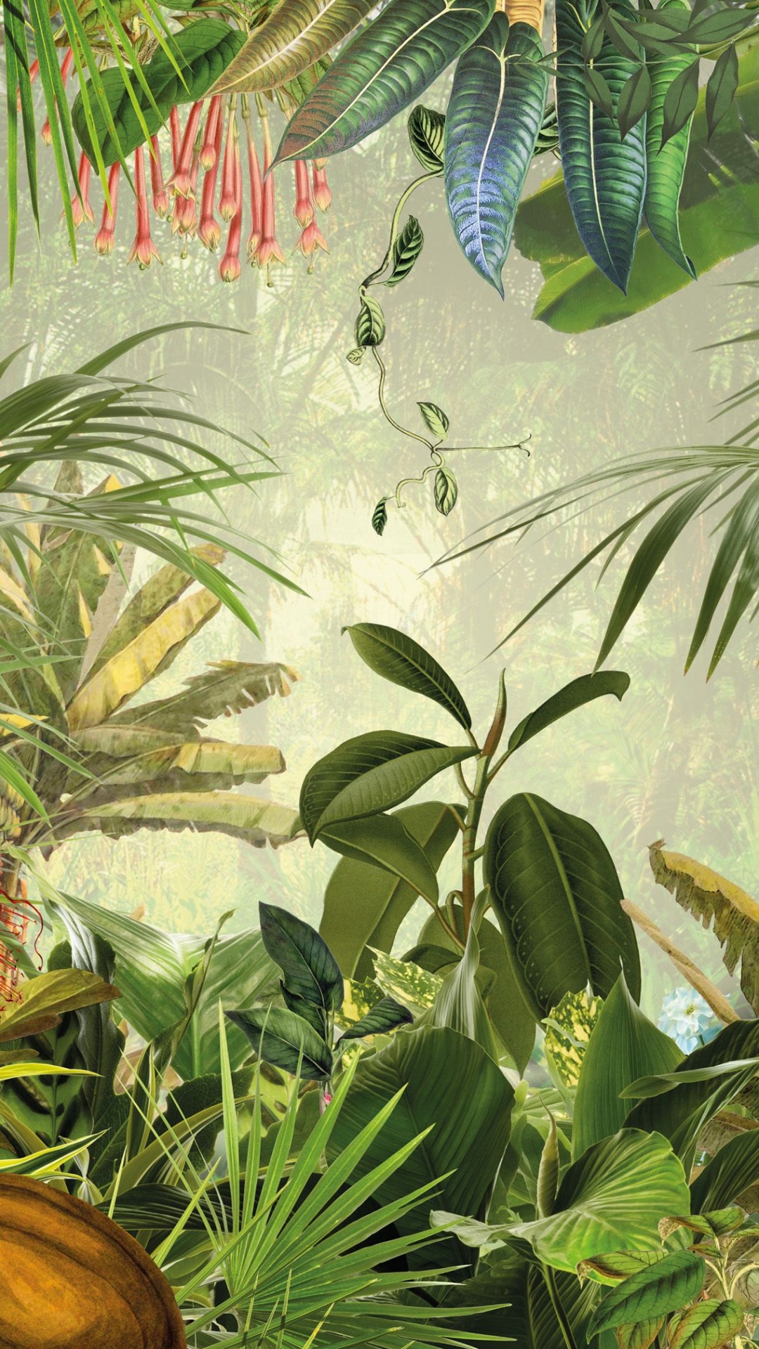 壁画, 植被, 丛林, 热带雨林, 工厂 壁纸 1080x1920 允许