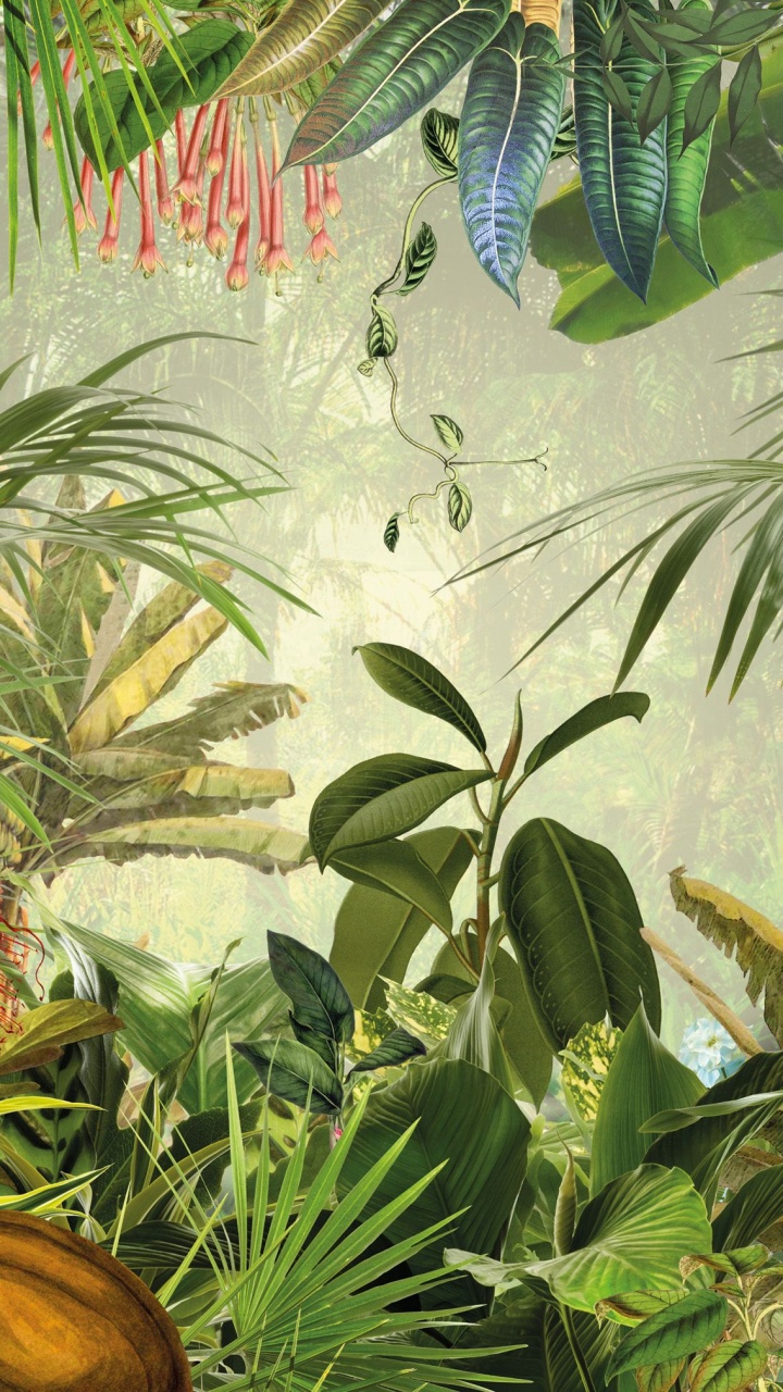 壁画, 植被, 丛林, 热带雨林, 工厂 壁纸 720x1280 允许