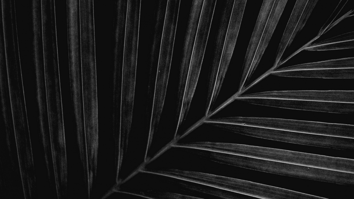 Black and White, Close Up, Monochrome, Automotive Tire, Wood. Wallpaper in 1366x768 Resolution