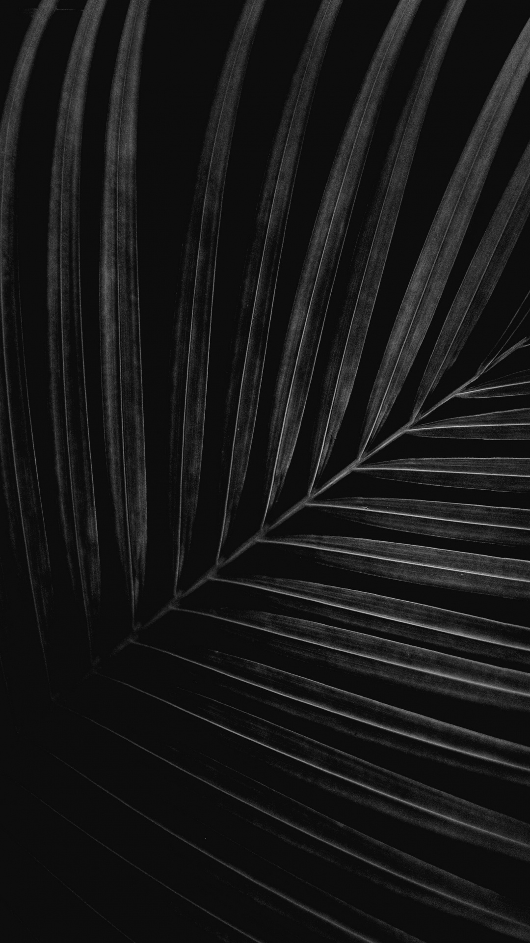 Noir et Blanc, Fermer, Monochrome, Automobile Pneu, Gris. Wallpaper in 1080x1920 Resolution