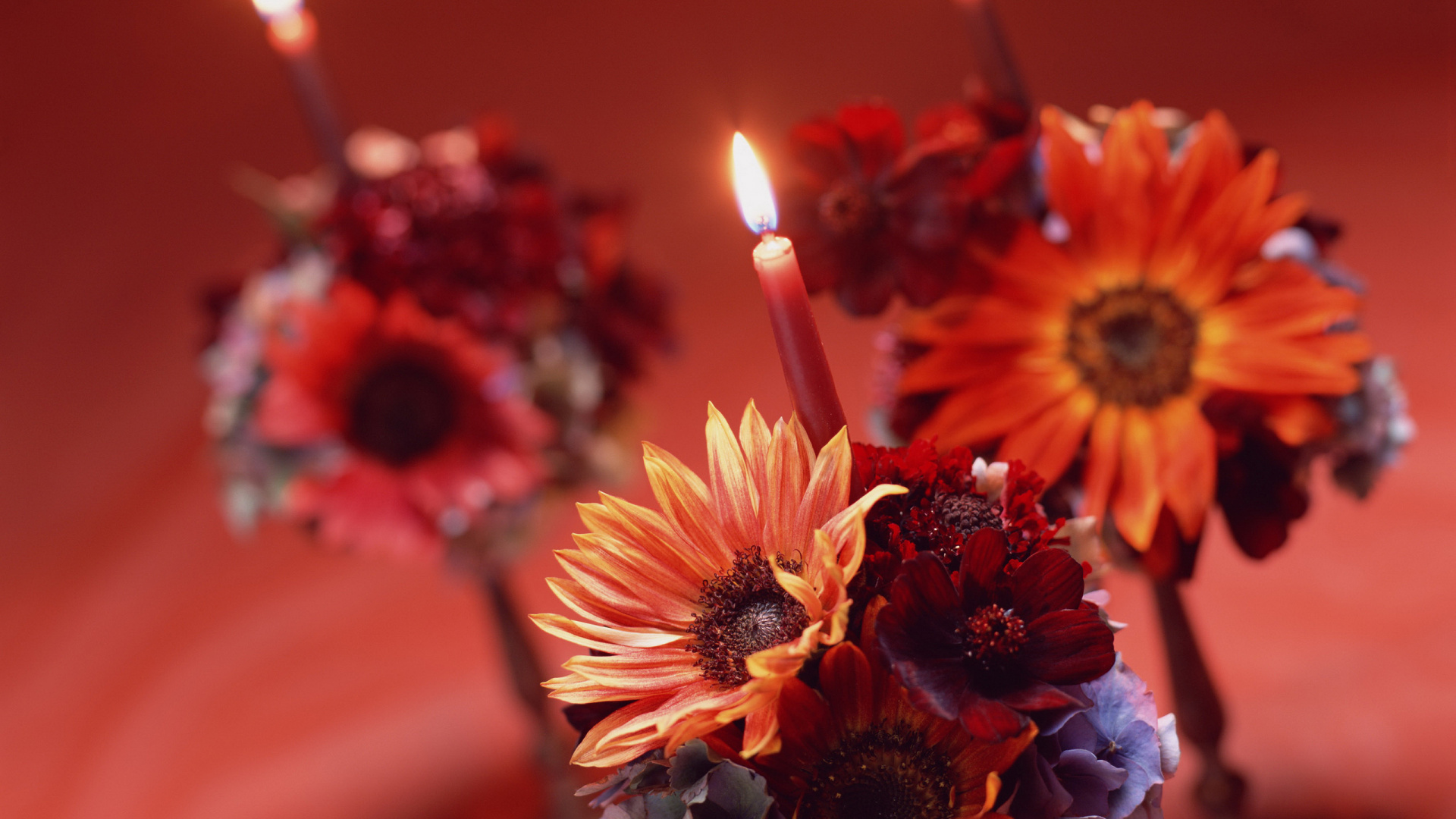 Bougie, Pétale, Orange, Fleurs Artificielles, L'arrangement Des Fleurs. Wallpaper in 1920x1080 Resolution