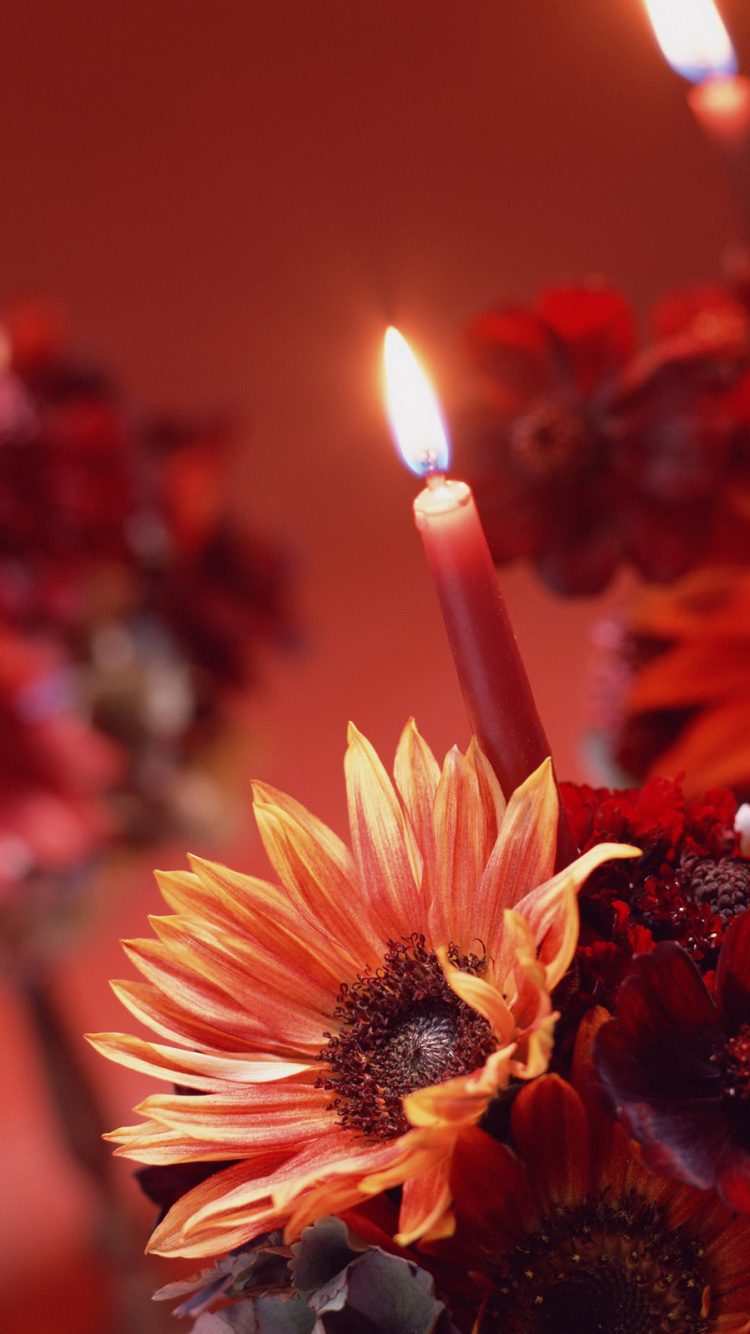 Bougie, Pétale, Orange, Fleurs Artificielles, L'arrangement Des Fleurs. Wallpaper in 750x1334 Resolution