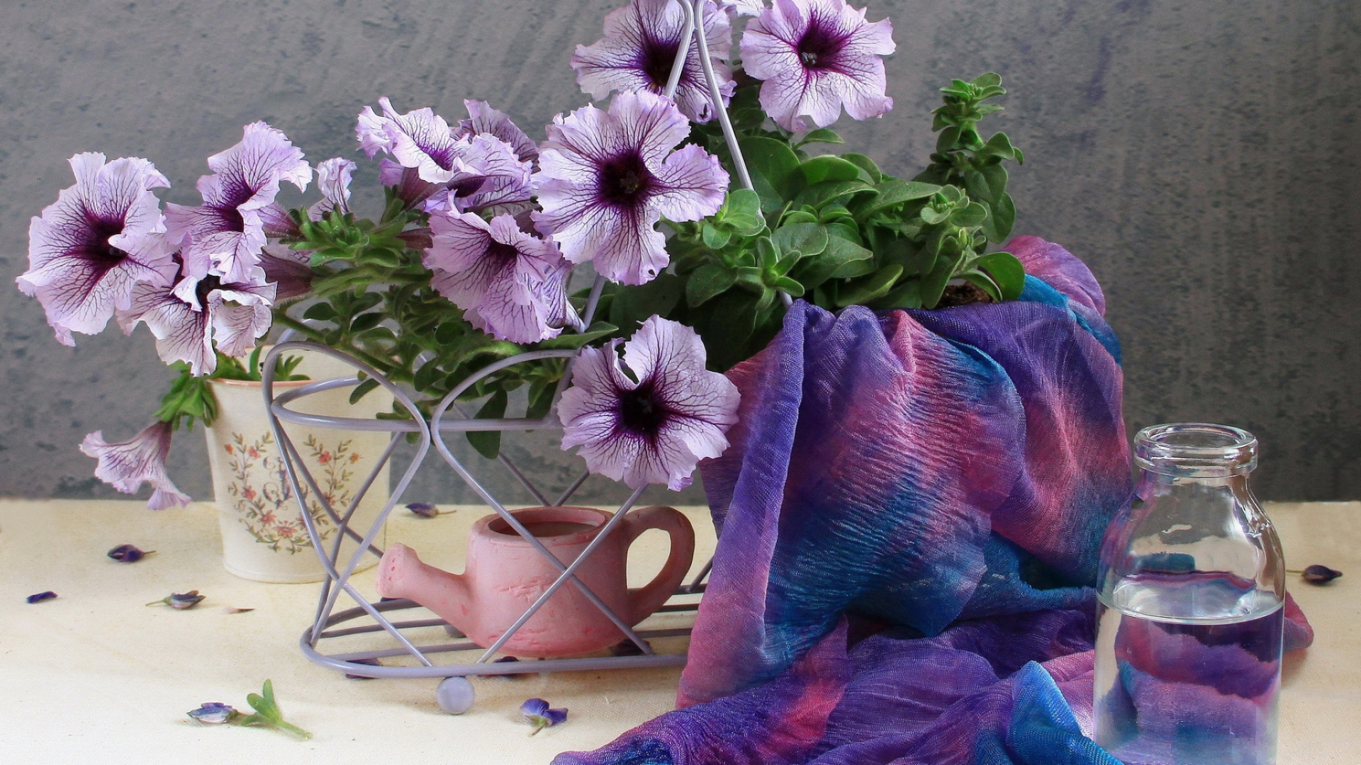 White and Purple Flowers in White Ceramic Vase. Wallpaper in 1920x1080 Resolution
