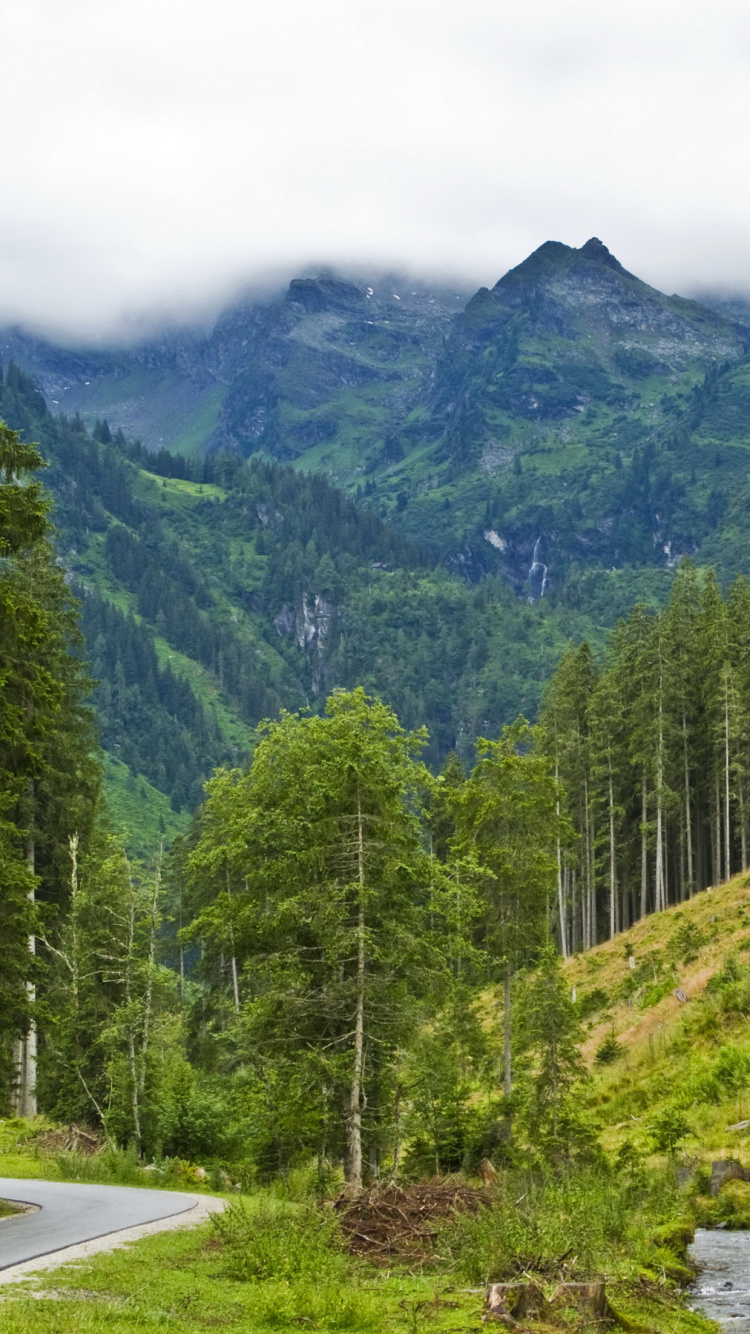Green Trees Near Mountain During Daytime. Wallpaper in 750x1334 Resolution