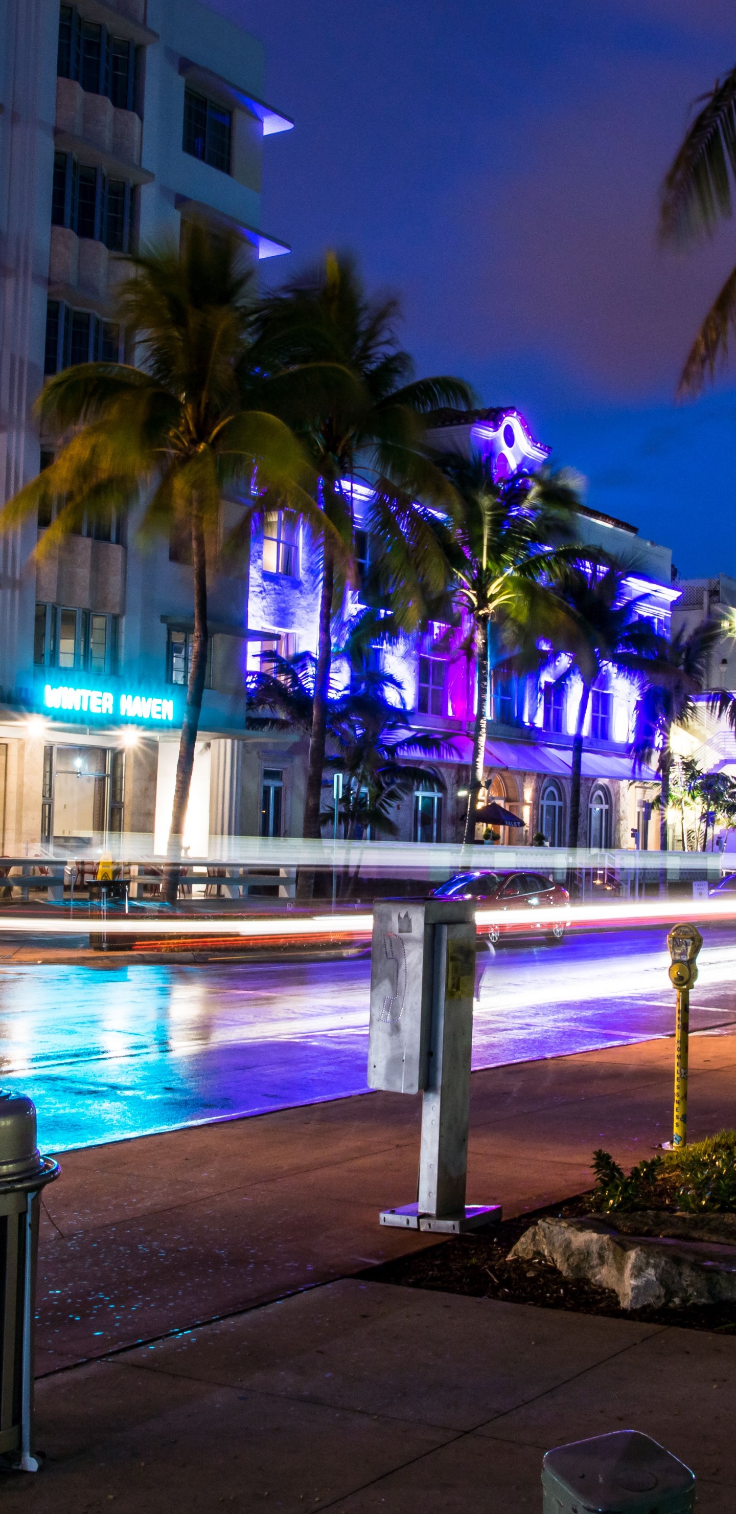 Grüne Palmen in Der Nähe Von Gewässern Während Der Nacht Night. Wallpaper in 1440x2960 Resolution