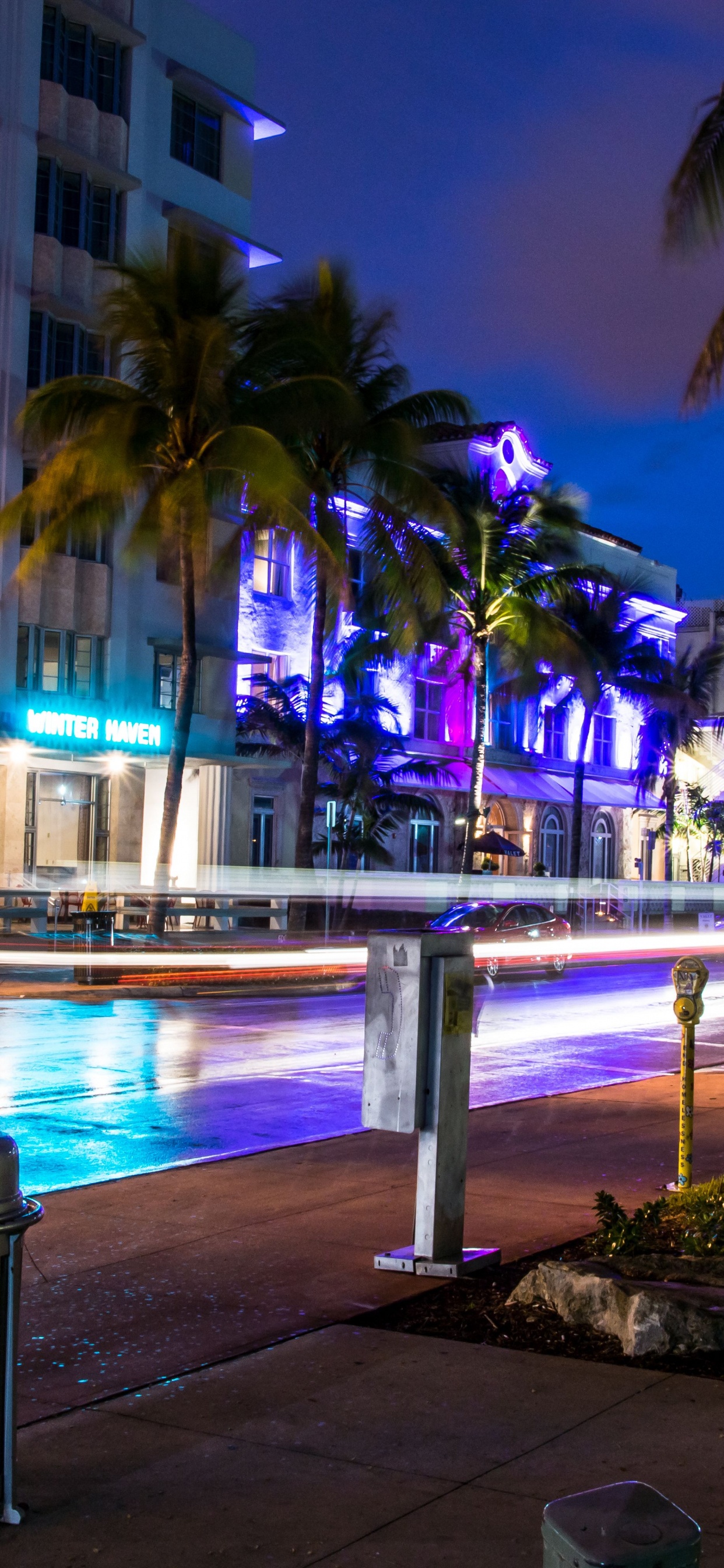 Green Palm Trees Near Body of Water During Night Time. Wallpaper in 1242x2688 Resolution