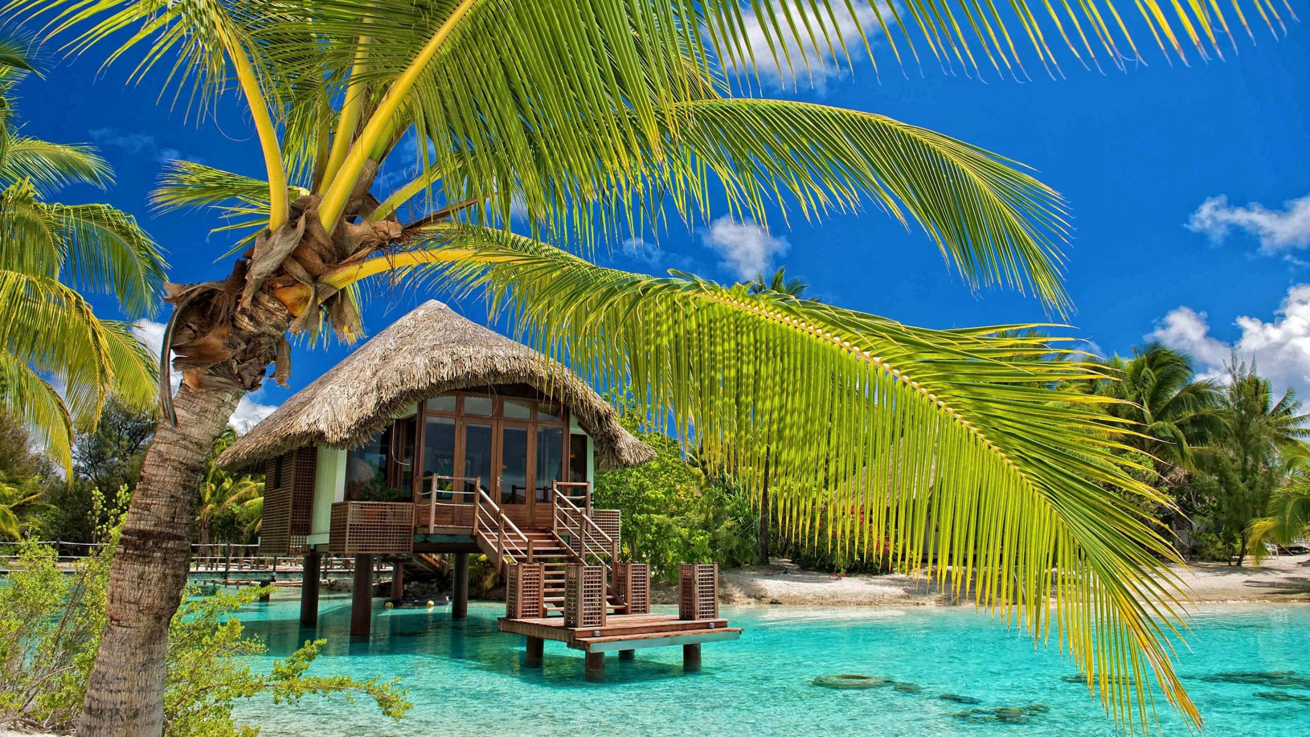 Brown Wooden House on Body of Water During Daytime. Wallpaper in 2560x1440 Resolution