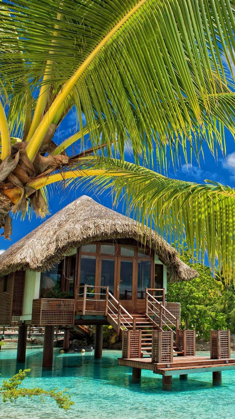 Brown Wooden House on Body of Water During Daytime. Wallpaper in 750x1334 Resolution