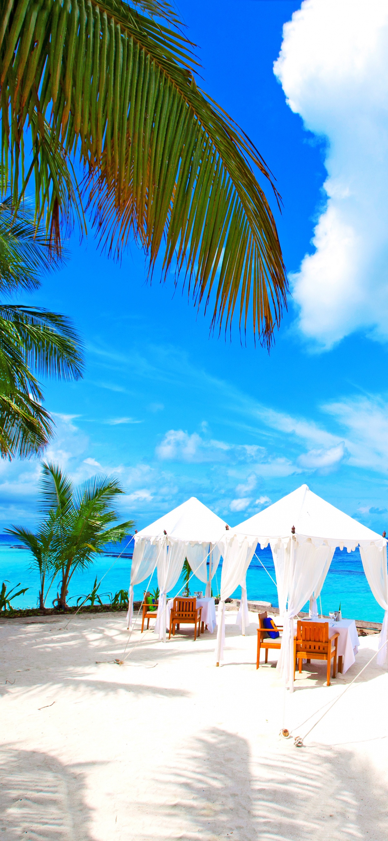 Parasols Blancs et Marrons Sur la Plage Pendant la Journée. Wallpaper in 1242x2688 Resolution