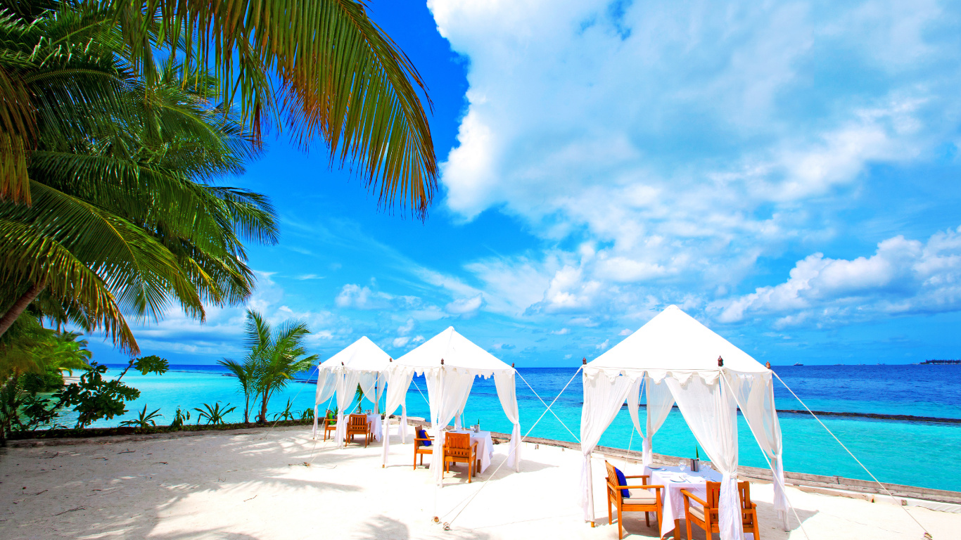 Parasols Blancs et Marrons Sur la Plage Pendant la Journée. Wallpaper in 1366x768 Resolution