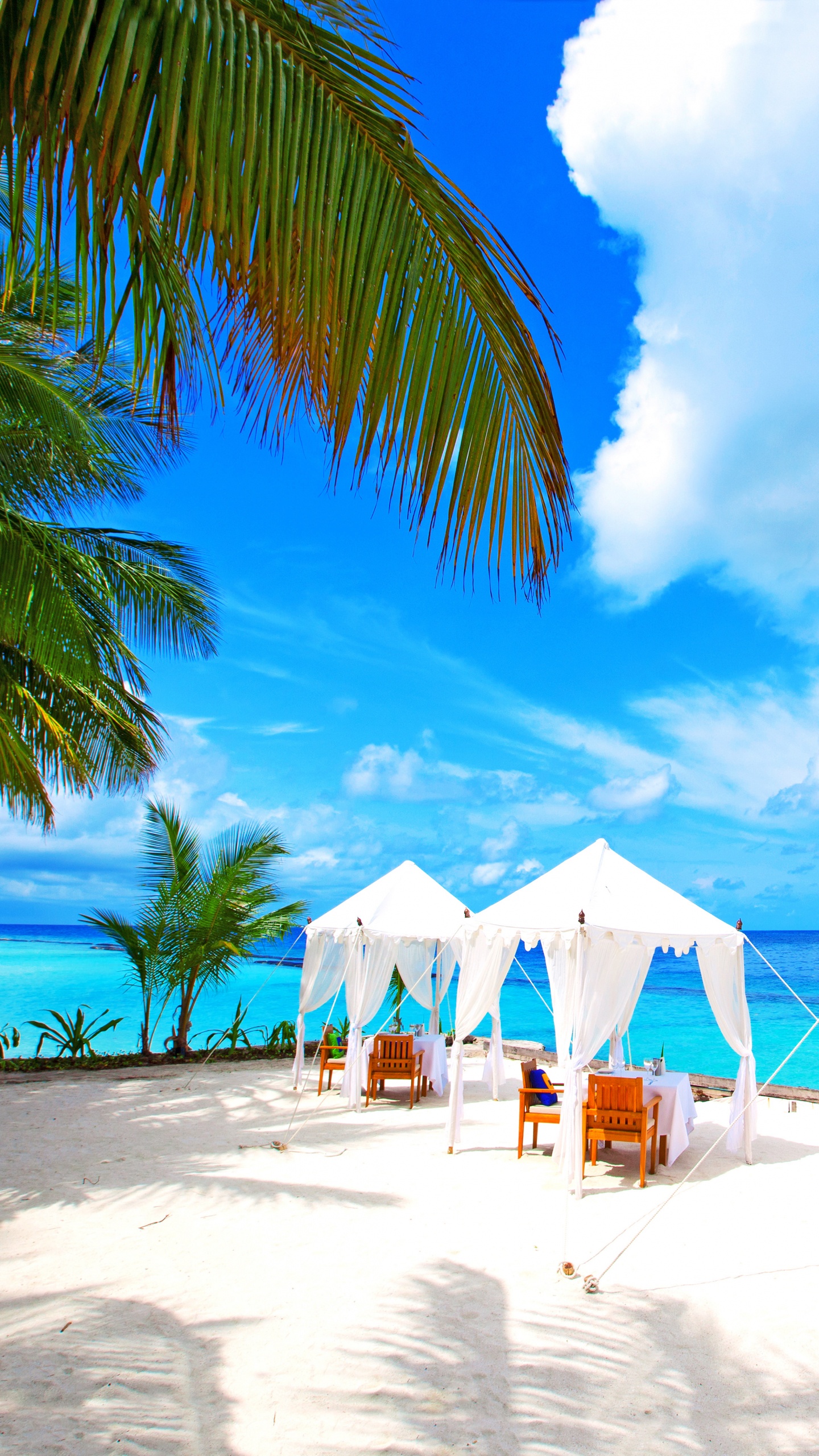 Parasols Blancs et Marrons Sur la Plage Pendant la Journée. Wallpaper in 1440x2560 Resolution