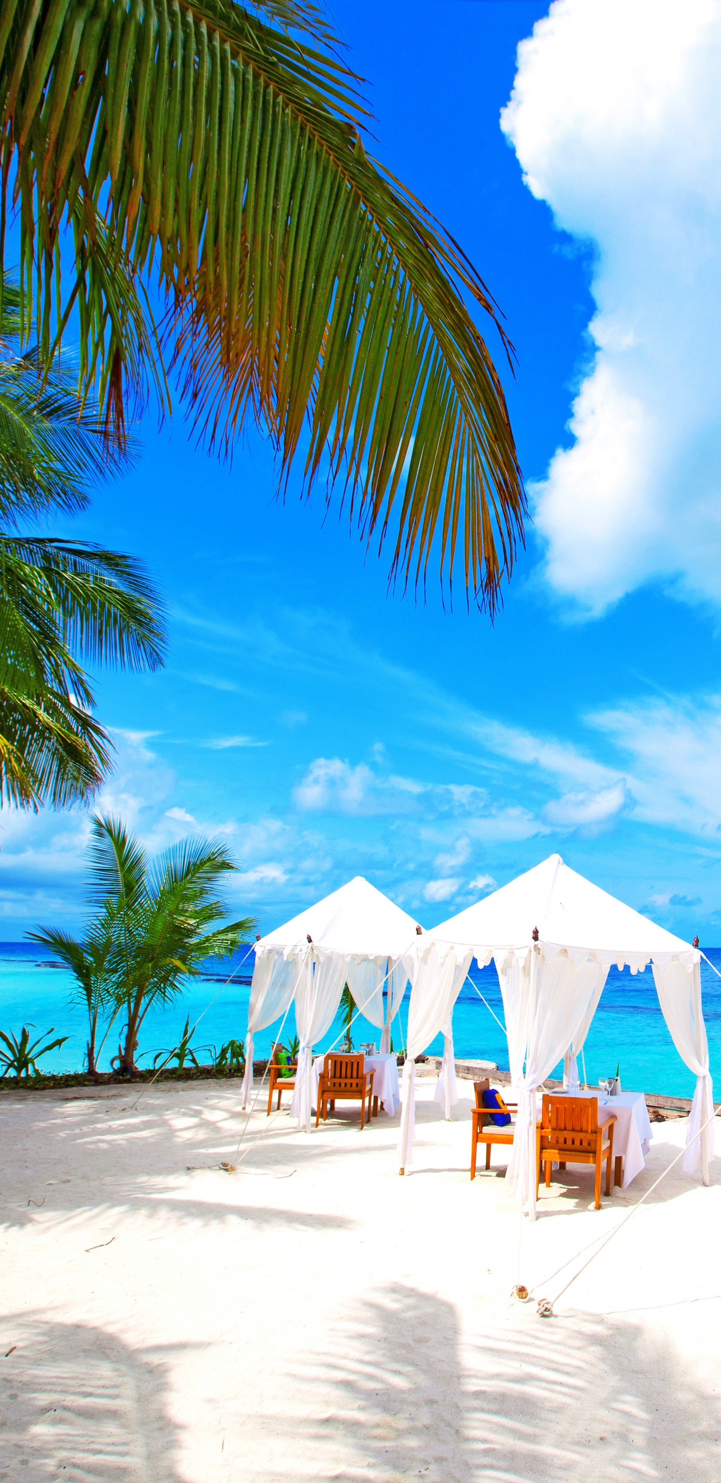 White and Brown Beach Umbrellas on Beach During Daytime. Wallpaper in 1440x2960 Resolution