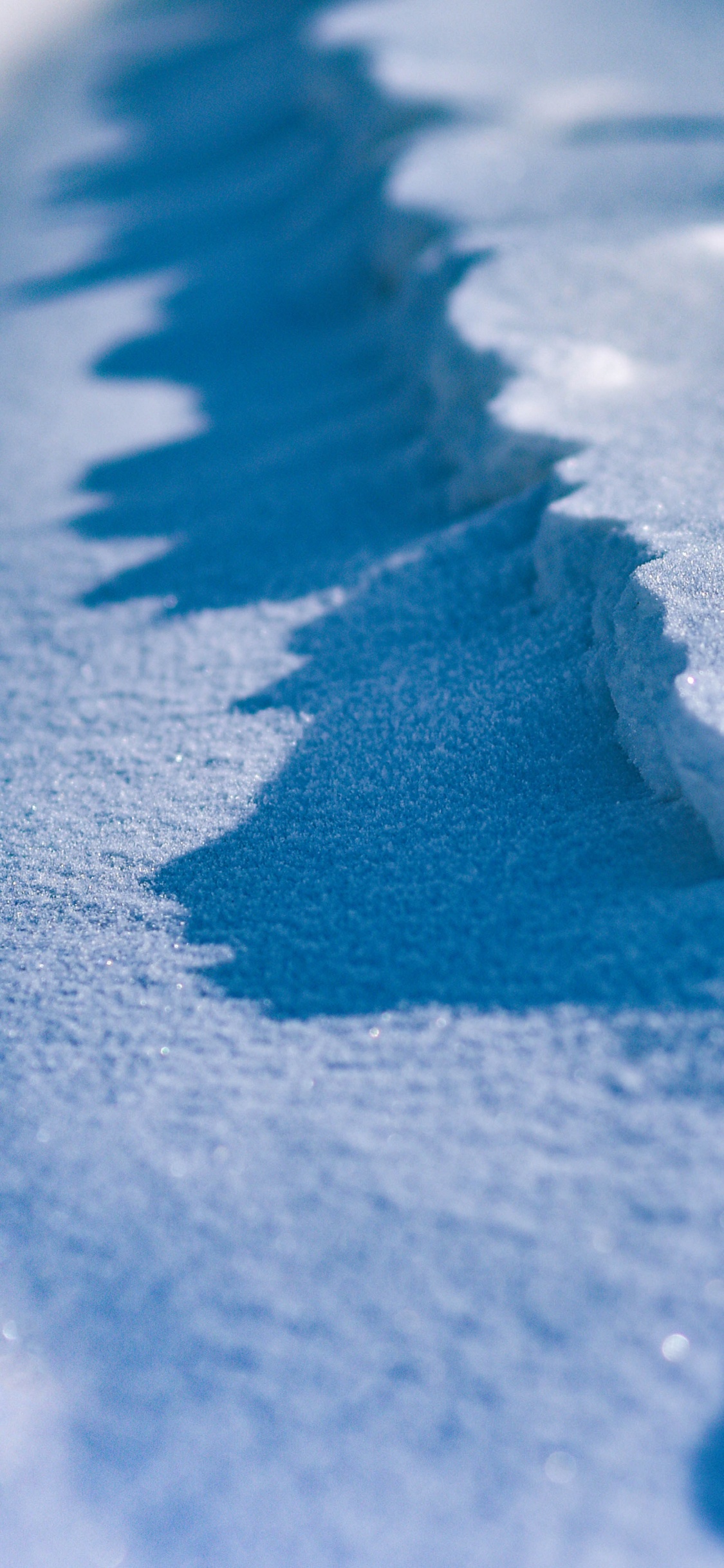 Arena Azul en Fotografía de Cerca. Wallpaper in 1125x2436 Resolution