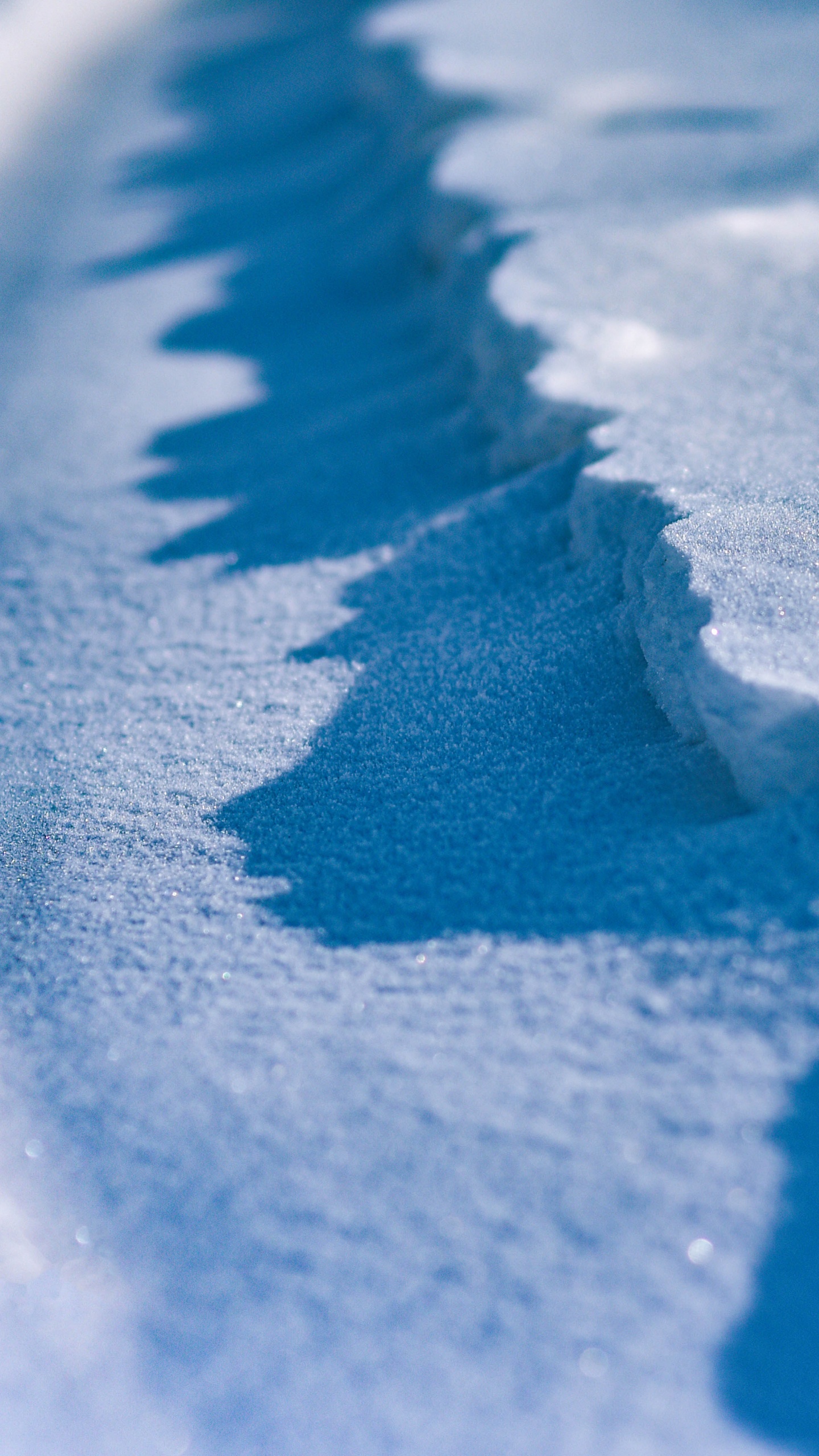 Sable Bleu en Photographie Rapprochée. Wallpaper in 1440x2560 Resolution