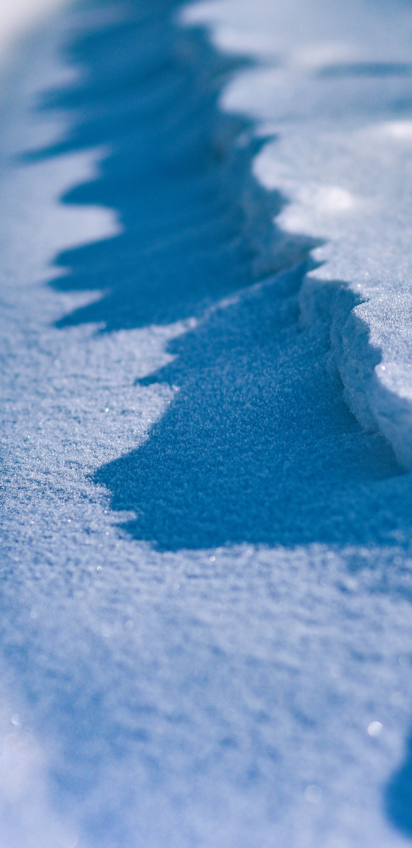 Blauer Sand in Nahaufnahmen. Wallpaper in 1440x2960 Resolution