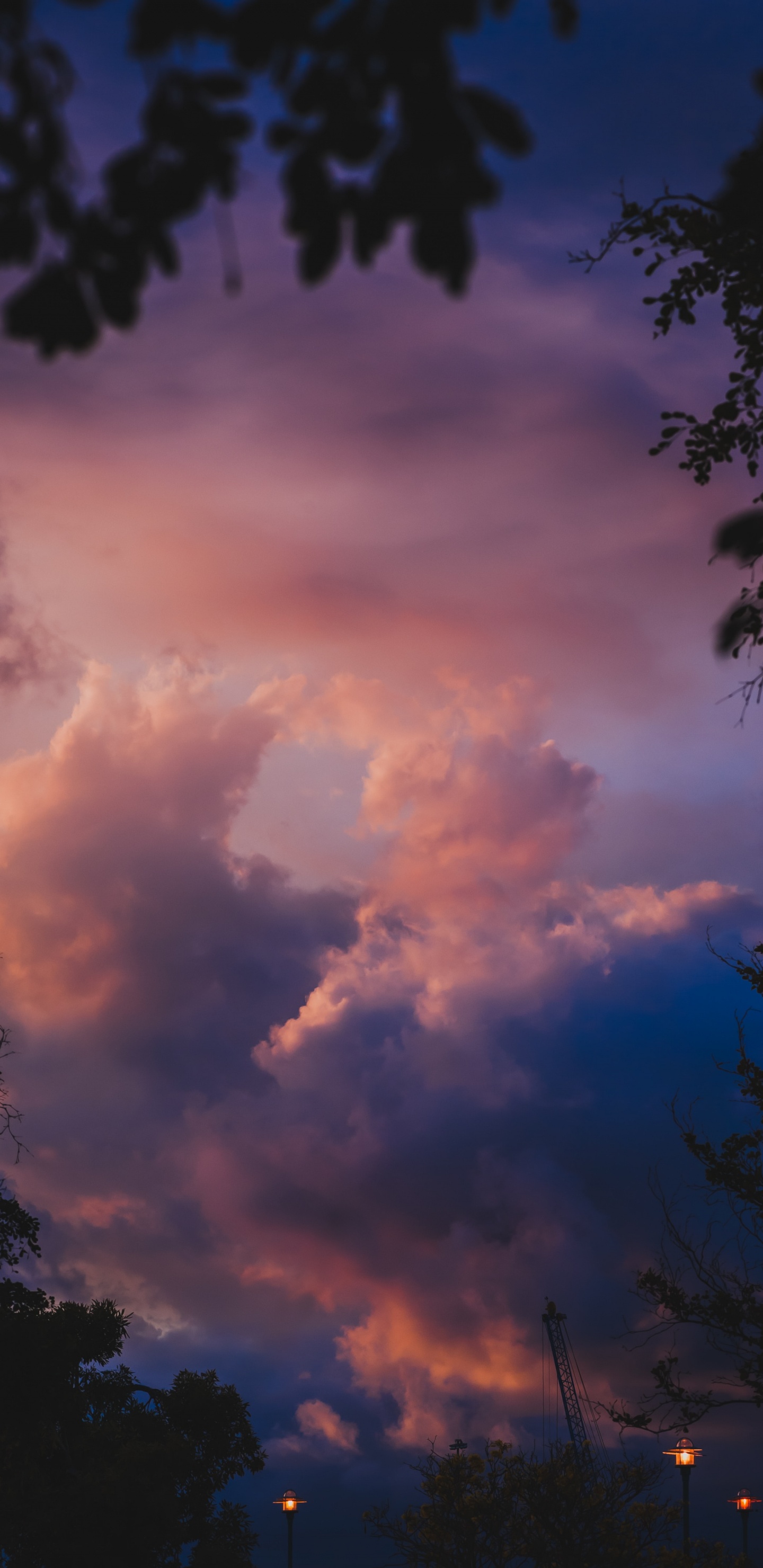 Cloud, Blue, Daytime, Nature, Cumulus. Wallpaper in 1440x2960 Resolution