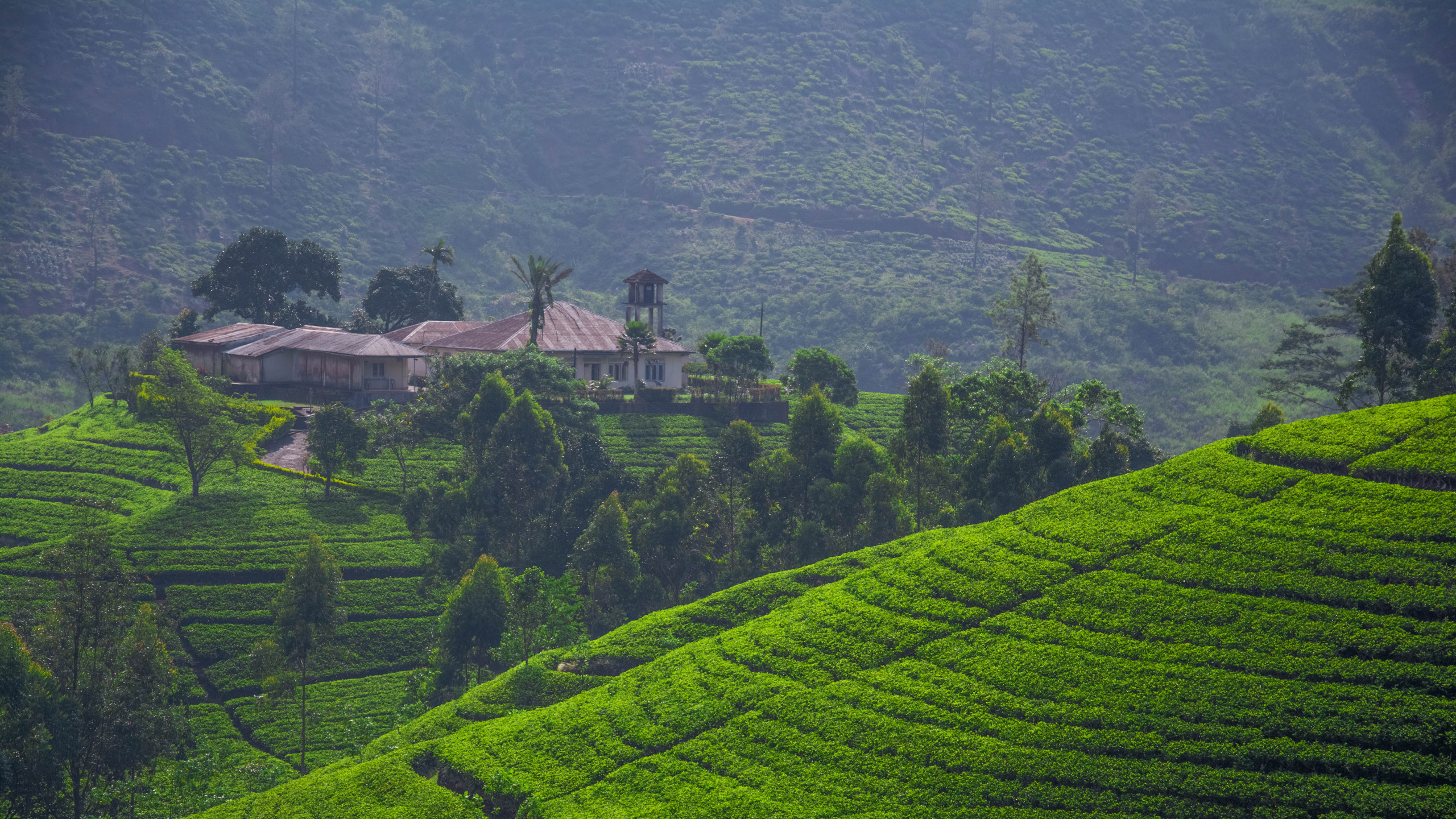 Campo de Hierba Verde Durante el Día. Wallpaper in 2560x1440 Resolution
