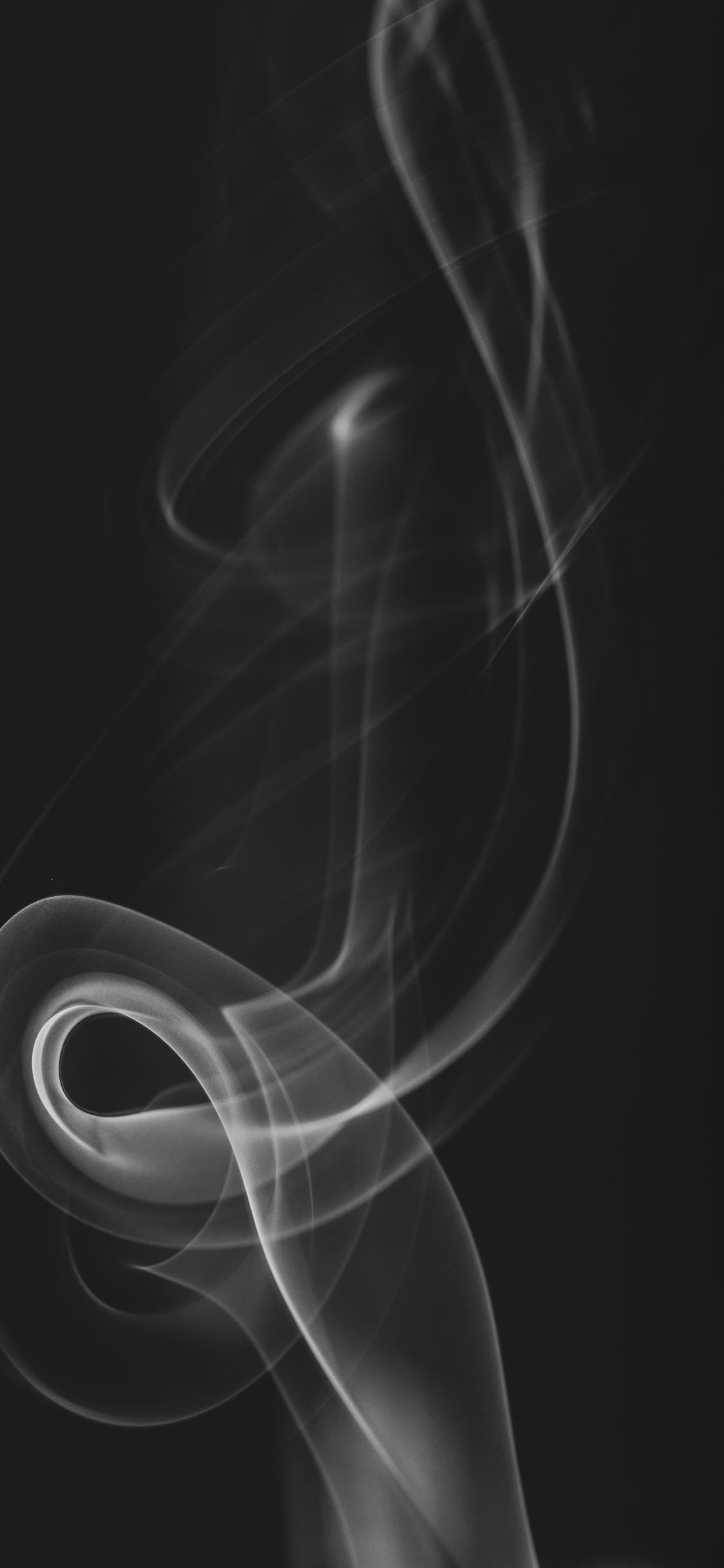 en Blanco y Negro, Negro, Inspirar Diseño Textil 10 05x0 53m, Blanco, Cabello. Wallpaper in 1125x2436 Resolution