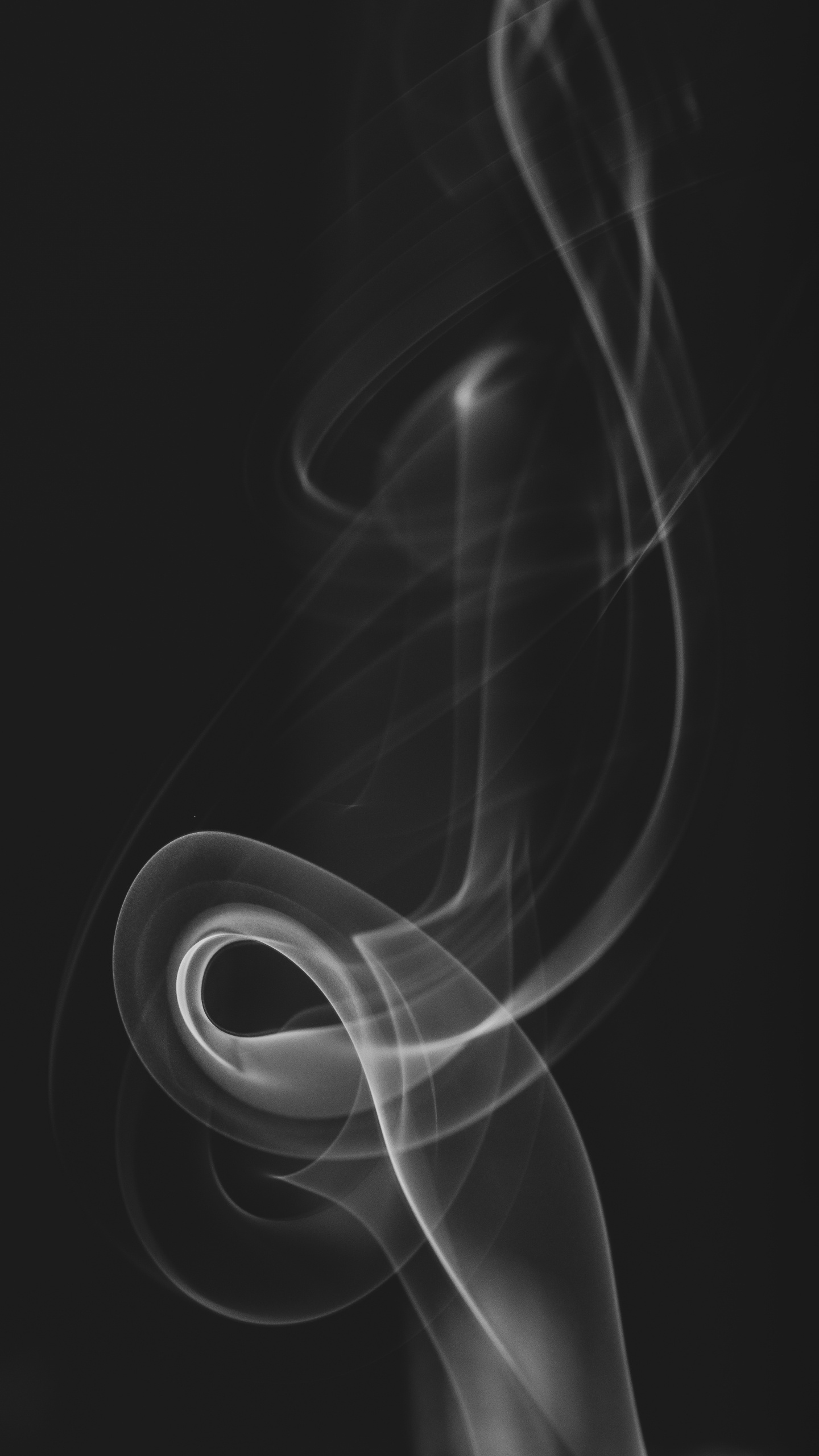 en Blanco y Negro, Negro, Inspirar Diseño Textil 10 05x0 53m, Blanco, Cabello. Wallpaper in 1440x2560 Resolution