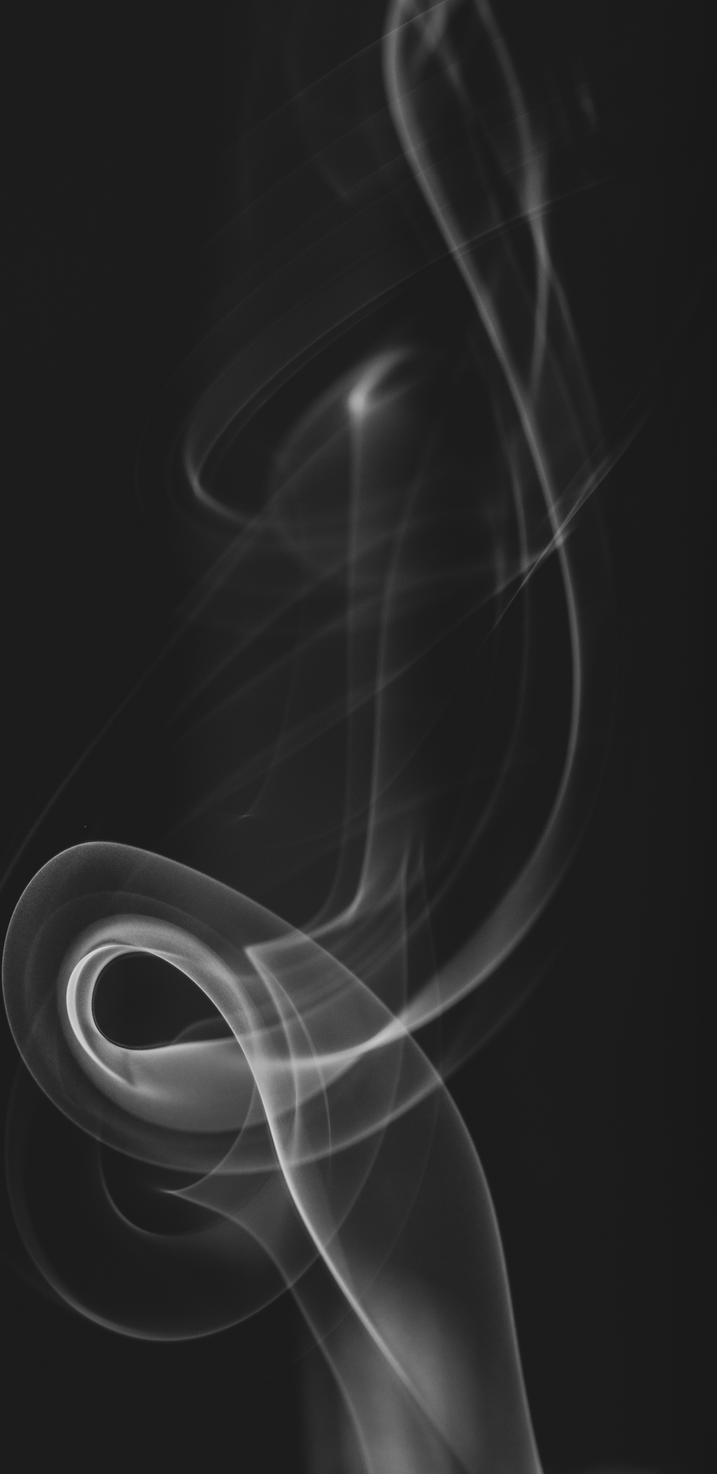 en Blanco y Negro, Negro, Inspirar Diseño Textil 10 05x0 53m, Blanco, Cabello. Wallpaper in 1440x2960 Resolution