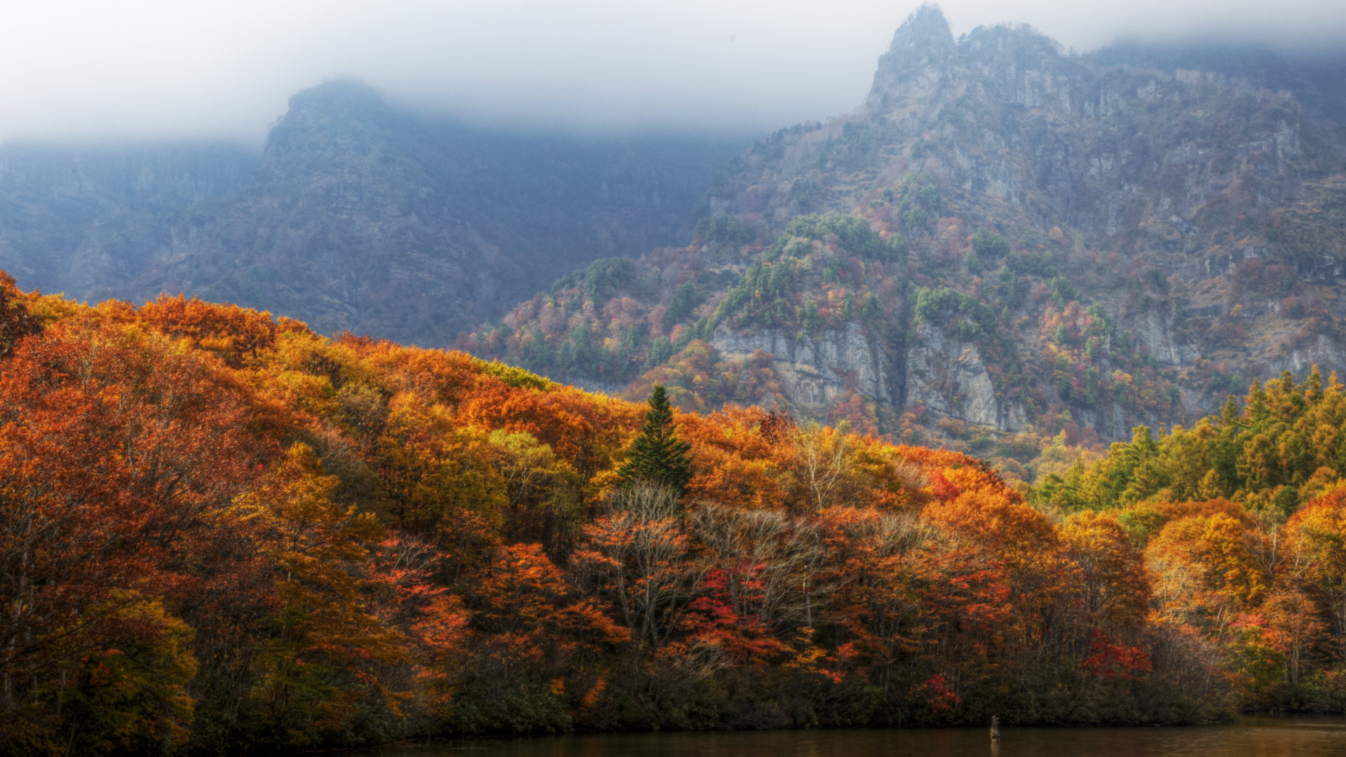 Green and Brown Trees on Mountain During Daytime. Wallpaper in 1920x1080 Resolution