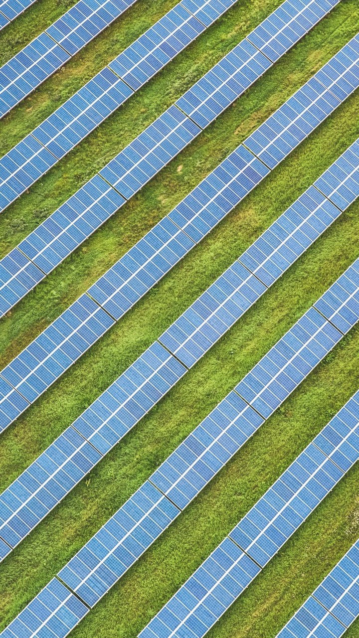 相似之处 壁纸 720x1280 允许