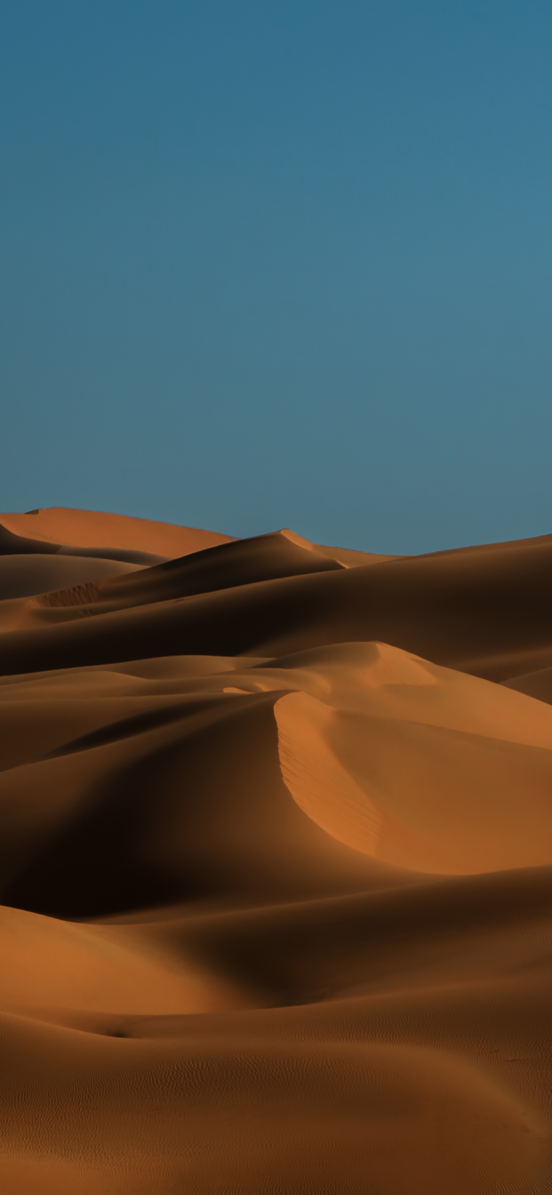 沙, Erg, 风积地貌, 撒哈拉, 天空 壁纸 1125x2436 允许