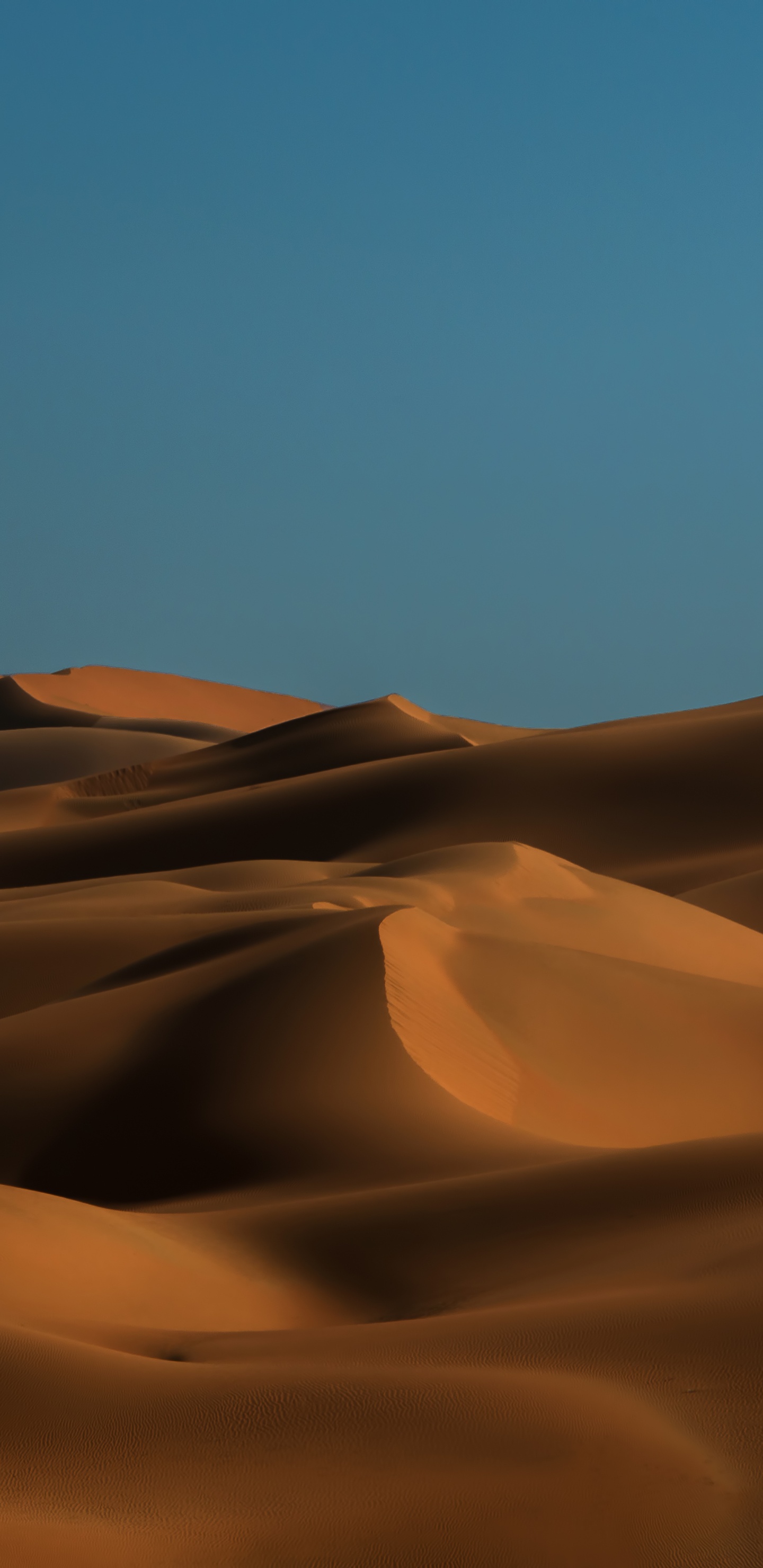 沙, Erg, 风积地貌, 撒哈拉, 天空 壁纸 1440x2960 允许