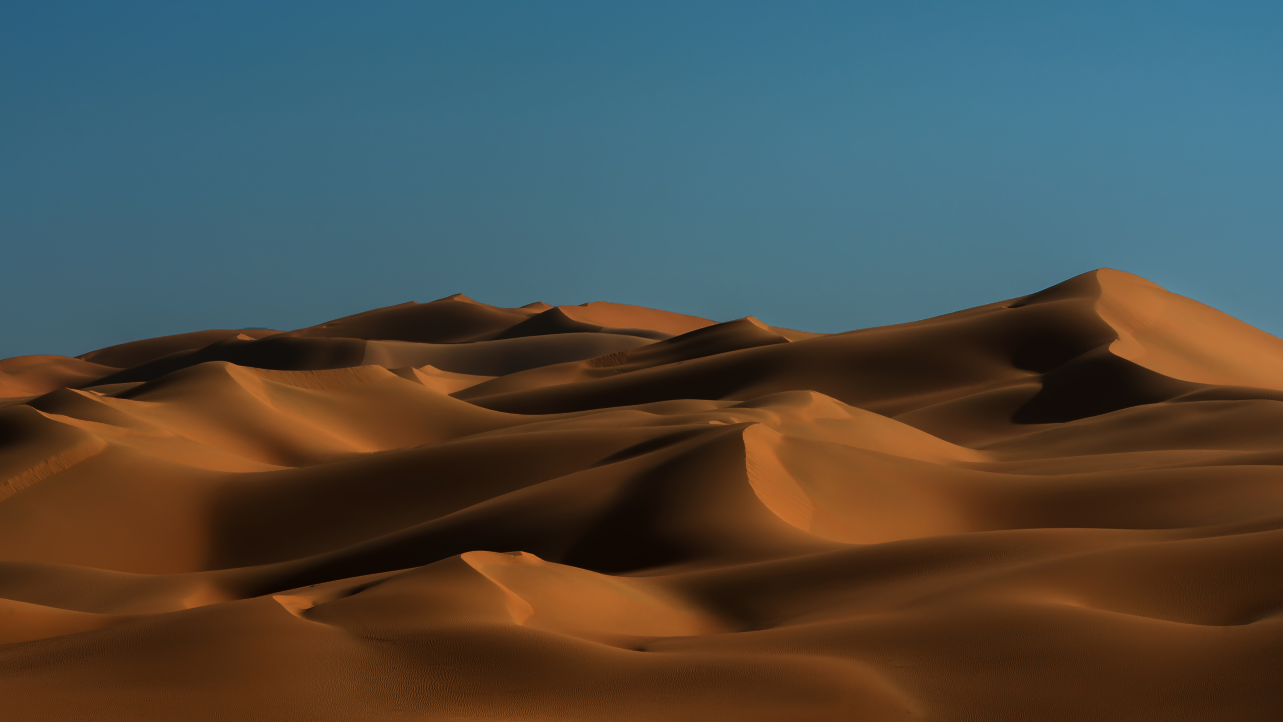 沙, Erg, 风积地貌, 撒哈拉, 天空 壁纸 2560x1440 允许