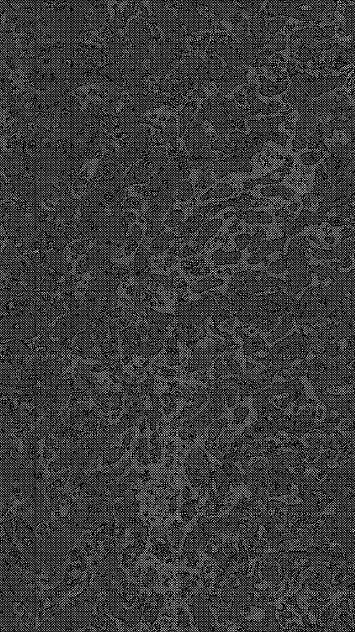 Black and White, Road Surface, Asphalt, Grey, Rectangle. Wallpaper in 720x1280 Resolution