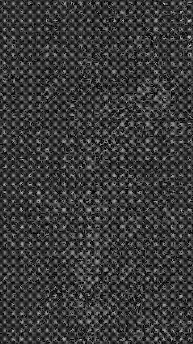 Noir et Blanc, Surface de la Route, Asphalt, Gris, Rectangle. Wallpaper in 750x1334 Resolution