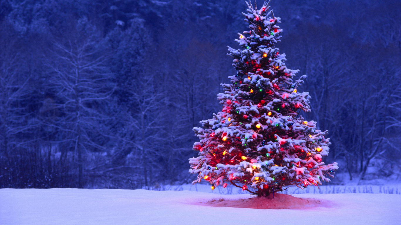 El Día De Navidad, Decoración de la Navidad, Invierno, Navidad, Nieve. Wallpaper in 1366x768 Resolution