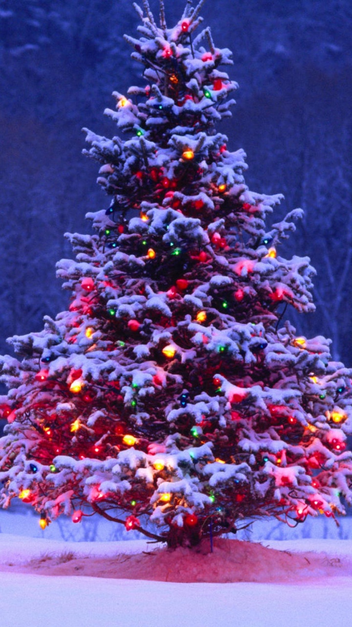 圣诞节那天, 圣诞树, 圣诞装饰, 冬天, 圣诞节 壁纸 720x1280 允许