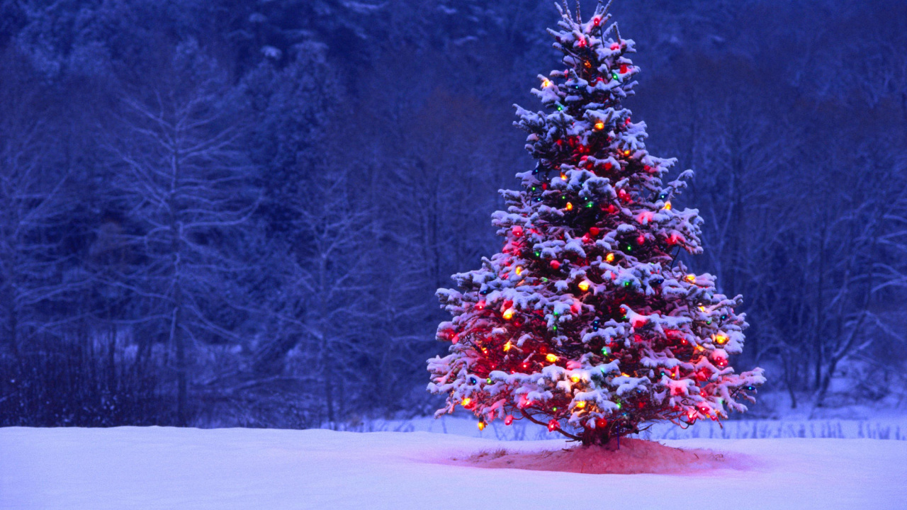 Weihnachten, Weihnachtsbaum, Weihnachtsdekoration, Winter, Baum. Wallpaper in 1280x720 Resolution