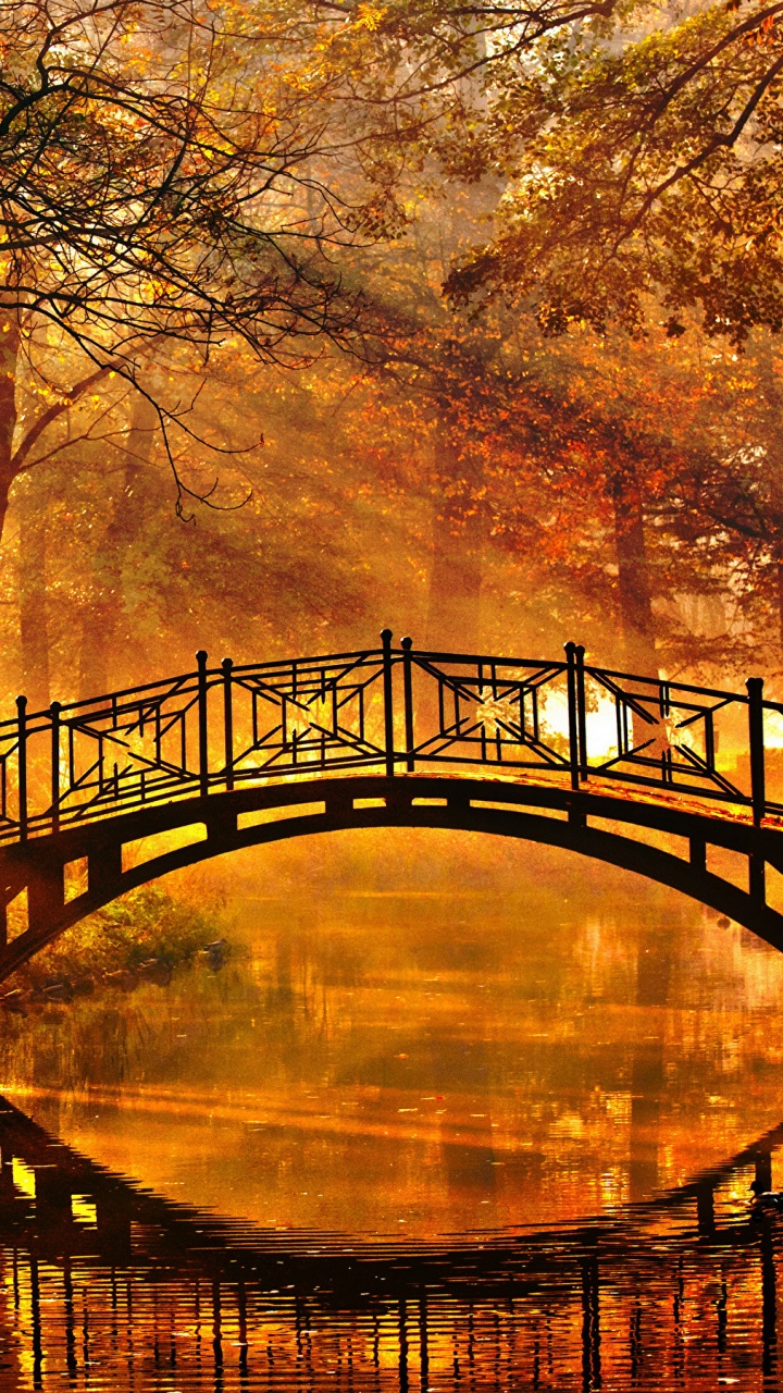 Braune Holzbrücke Über Den Fluss. Wallpaper in 720x1280 Resolution