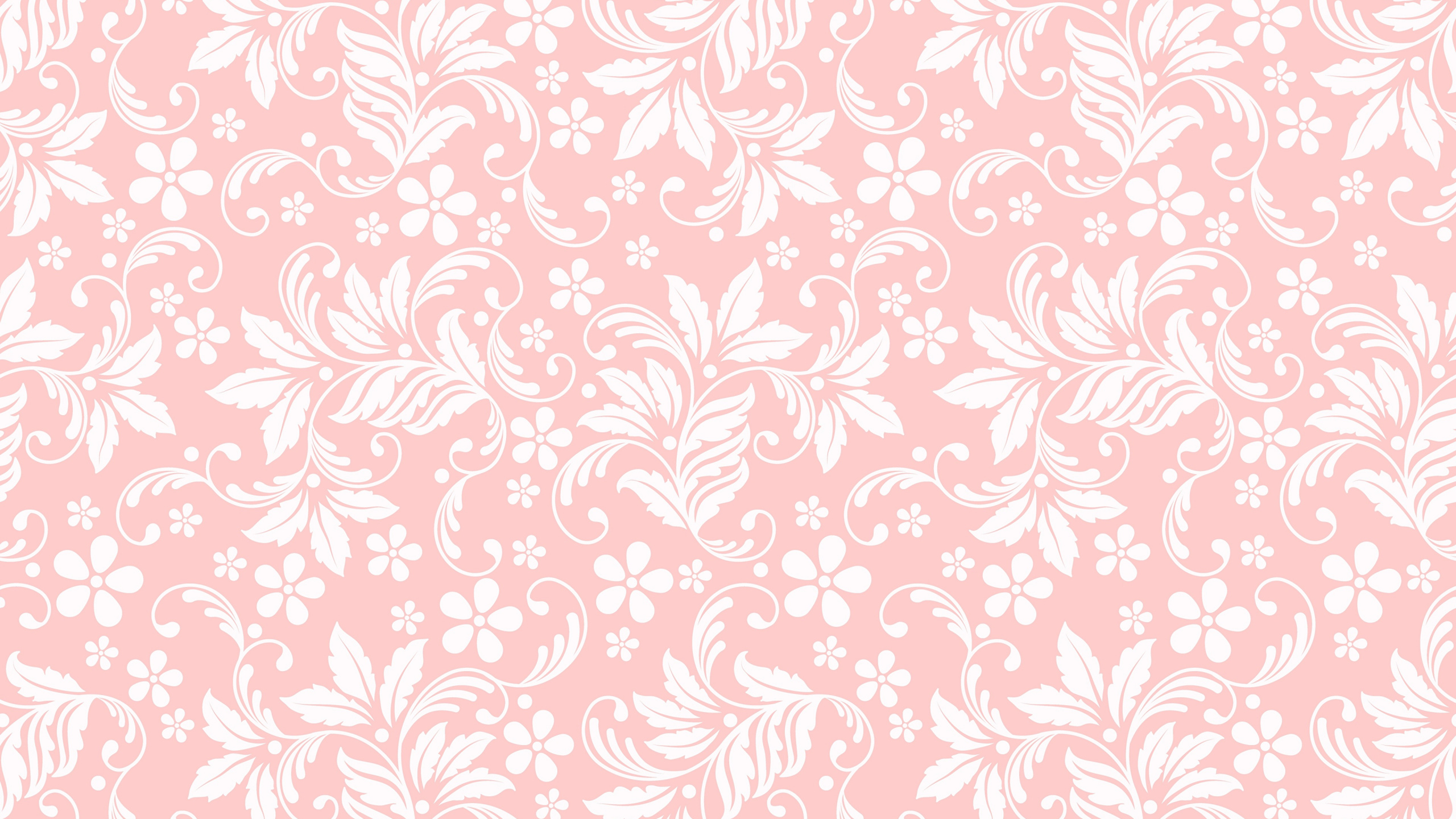 Textile Floral Rouge et Blanc. Wallpaper in 2560x1440 Resolution