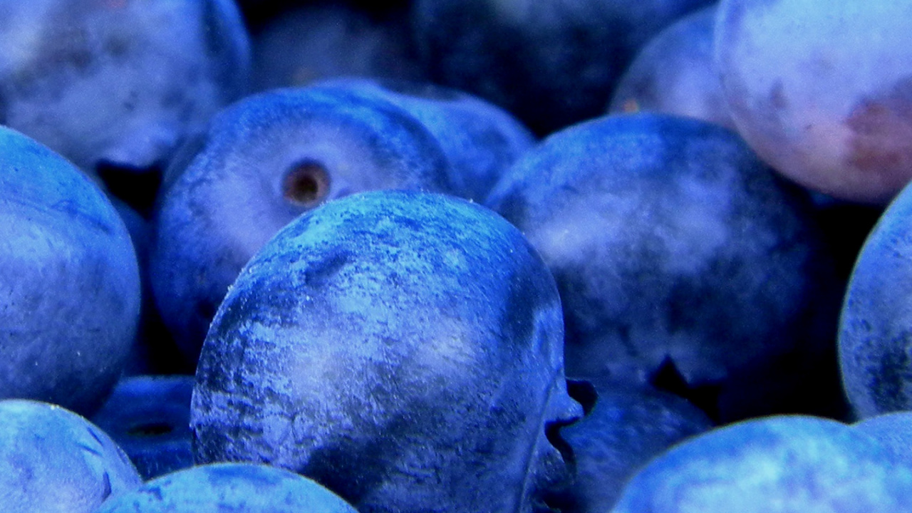 Fruit de Kerry, Jus, Fruits, Bleuet, Fruits D'été. Wallpaper in 1280x720 Resolution