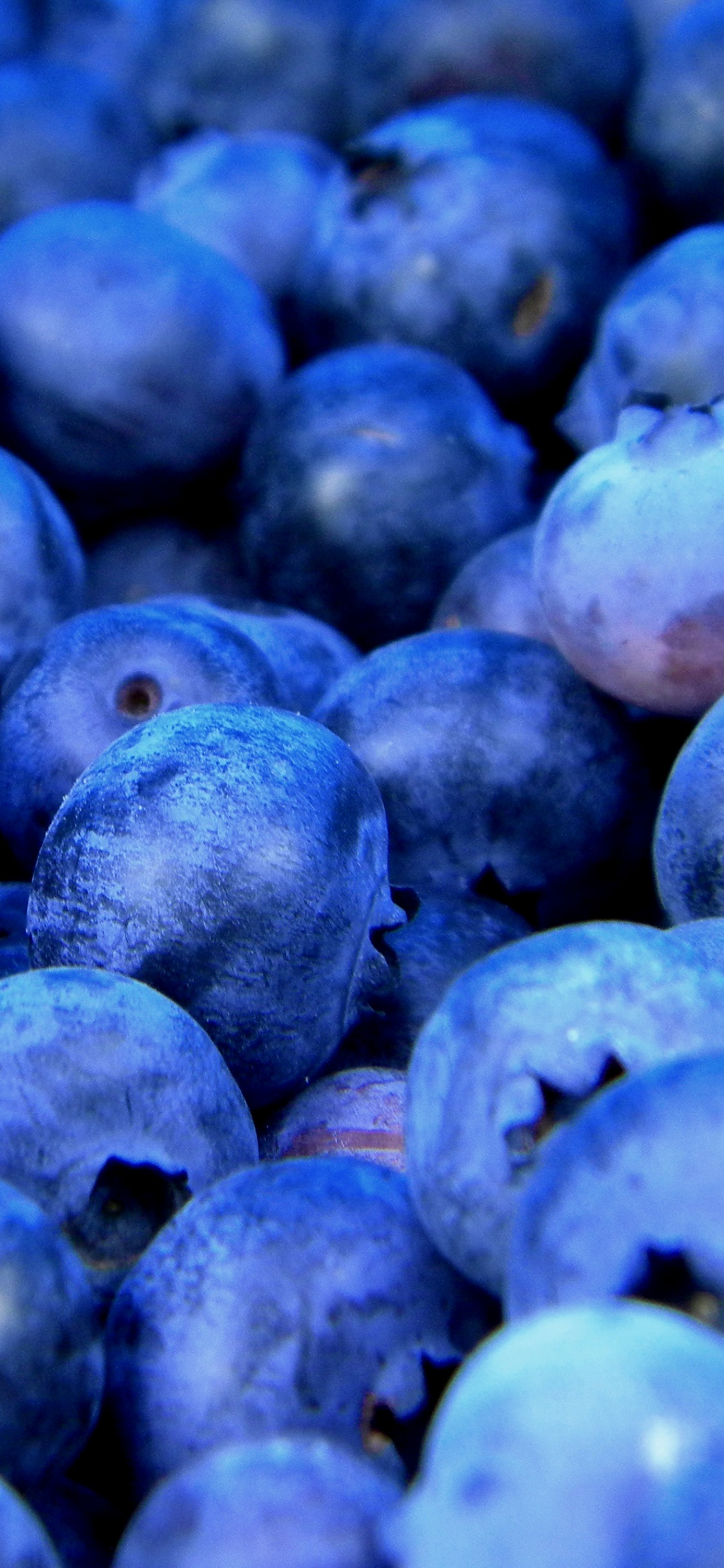 Kerry-Frucht, Saft, Blueberry, Sommerfrüchte, Erdbeere. Wallpaper in 1125x2436 Resolution