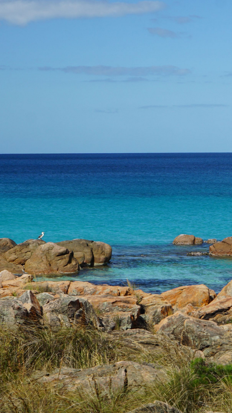 Parc National de Tulum, Côte, Eau, Mer, Nature. Wallpaper in 750x1334 Resolution