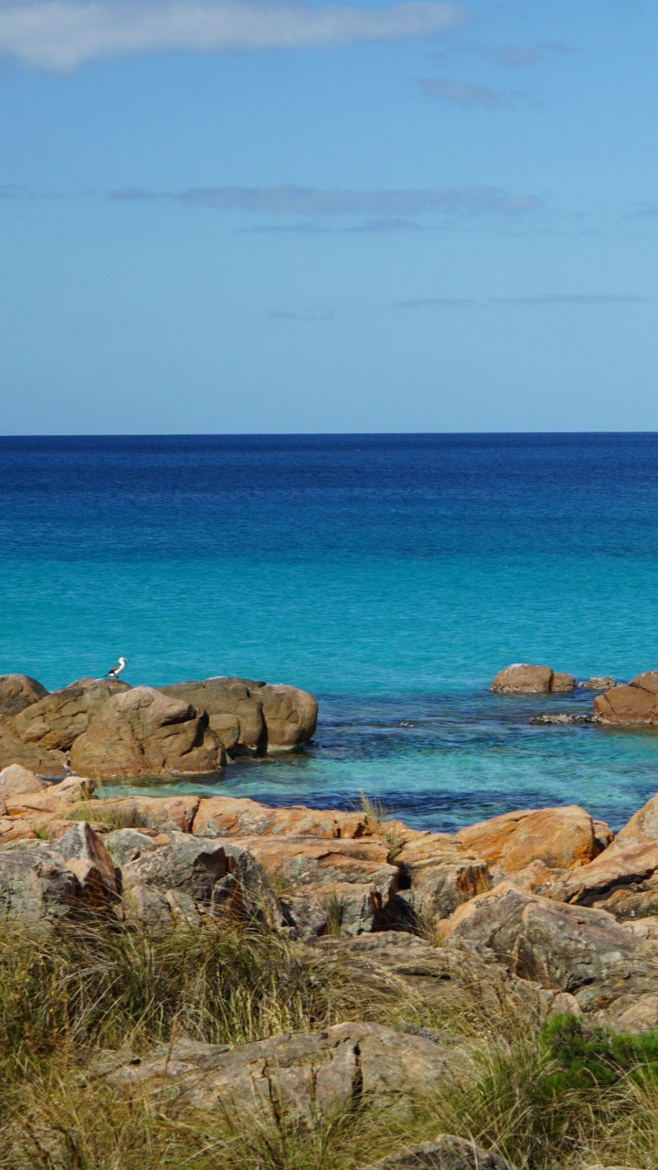 Parque Nacional de Tulum, Costa, Agua, Mar, Naturaleza. Wallpaper in 720x1280 Resolution