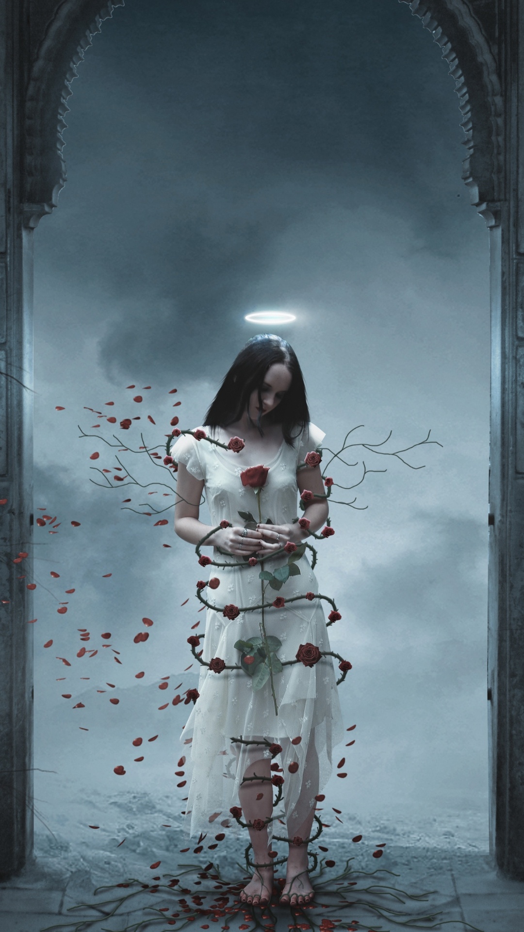 Kunst, Fenster, Branch, Zweig, Holz. Wallpaper in 1080x1920 Resolution